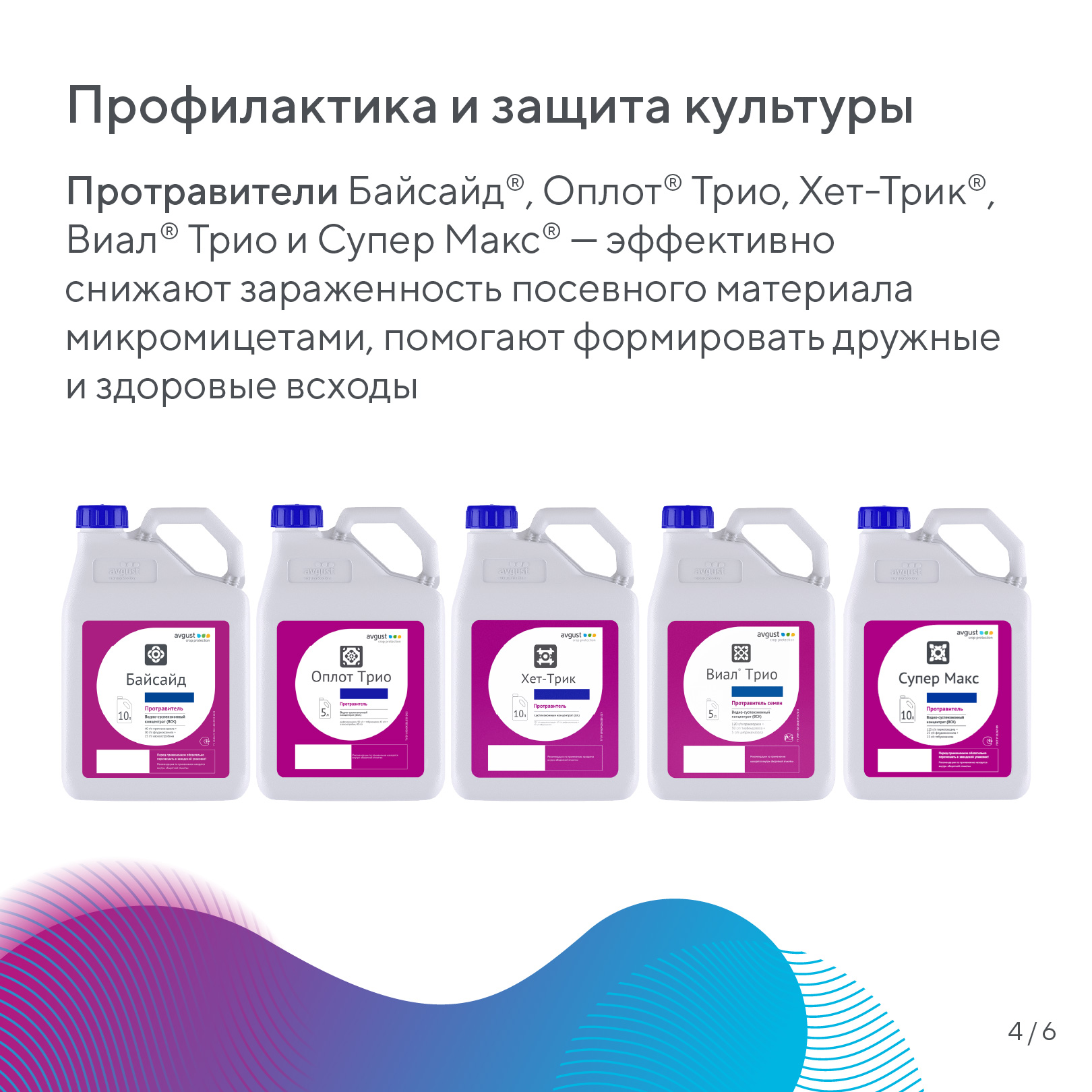 Пост 14.10.2026