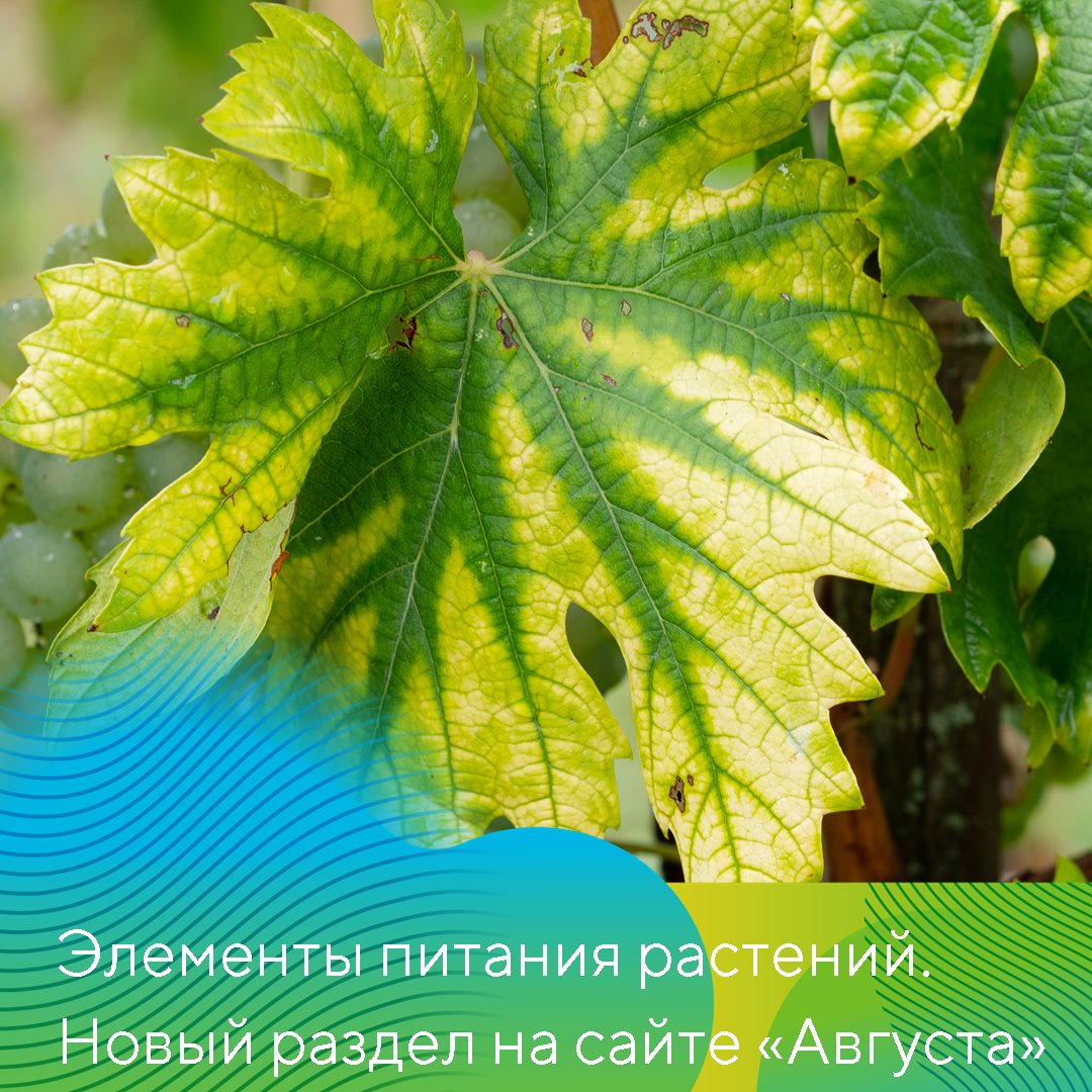 Пост 03.04.2025