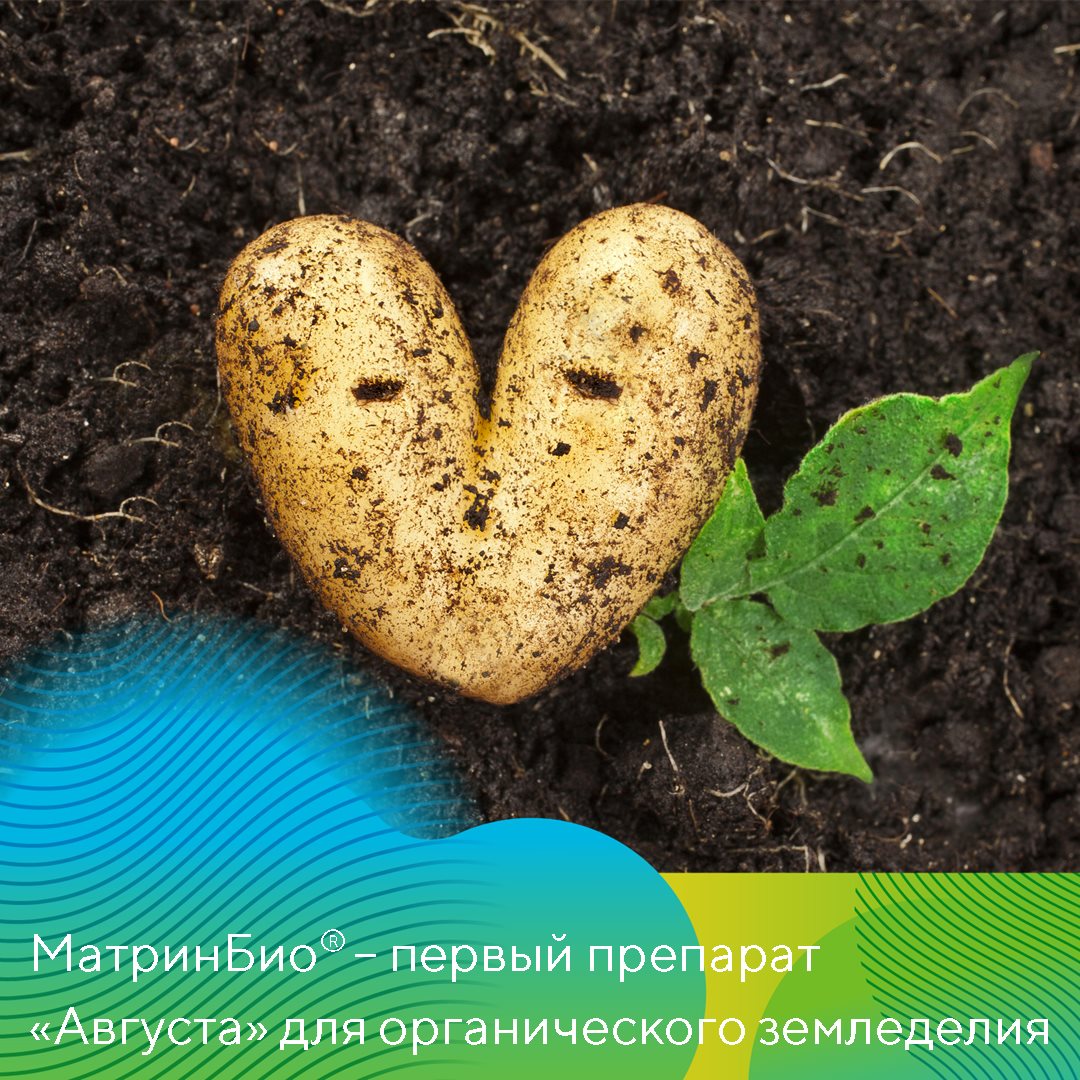 Пост 12.05.2025