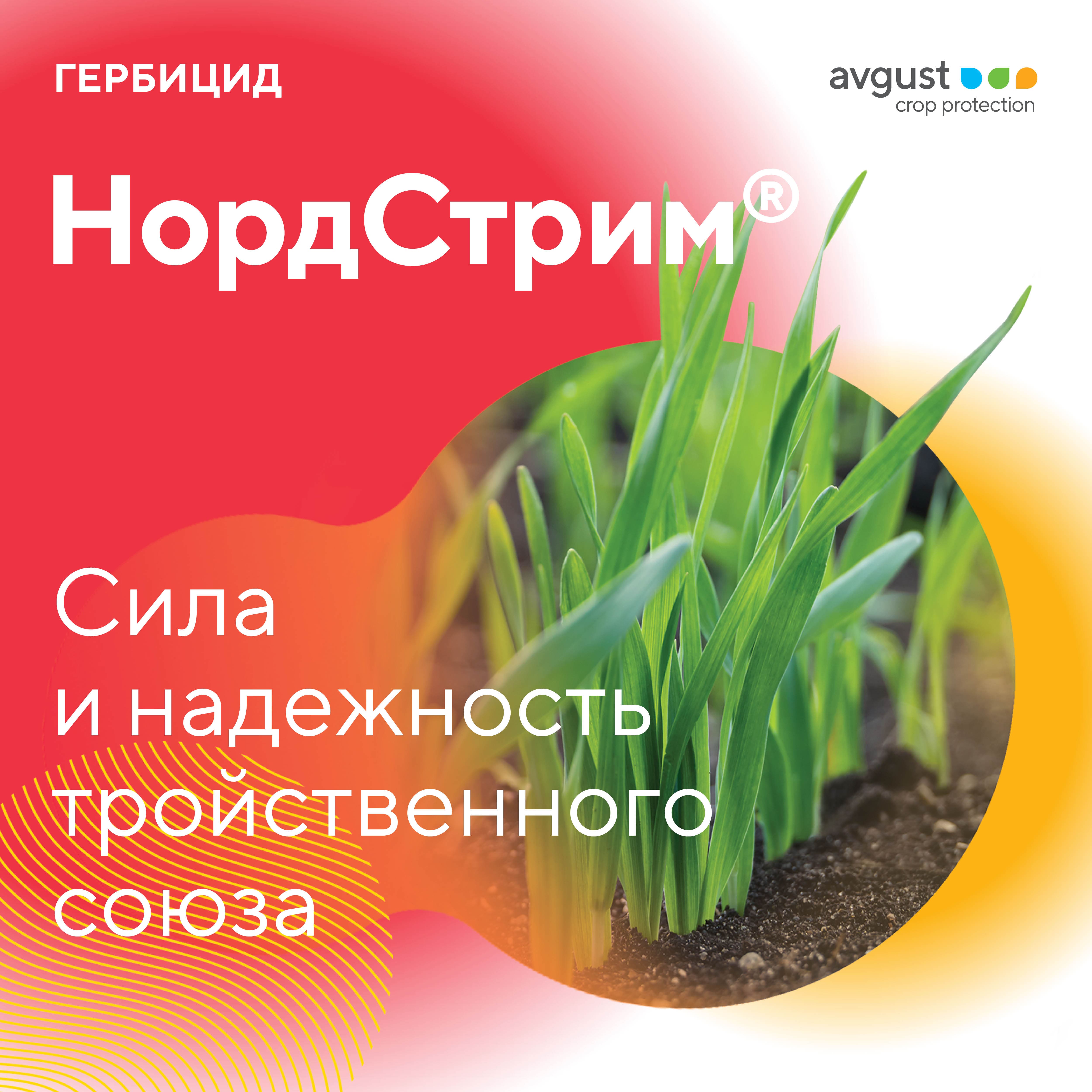 НордСтрим® – гербицид для защиты озимых и яровых зерновых культур