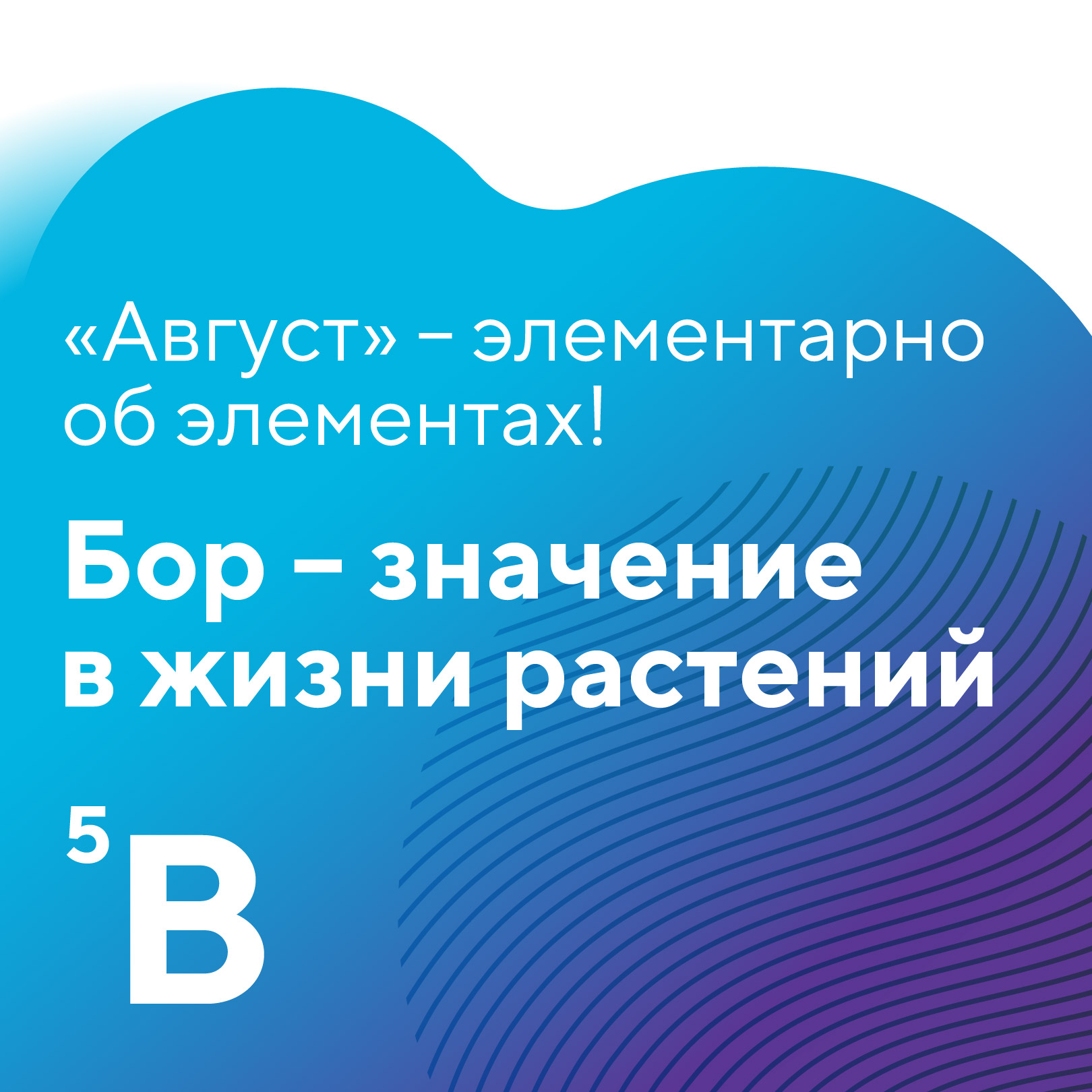 Пост 21.08.2026