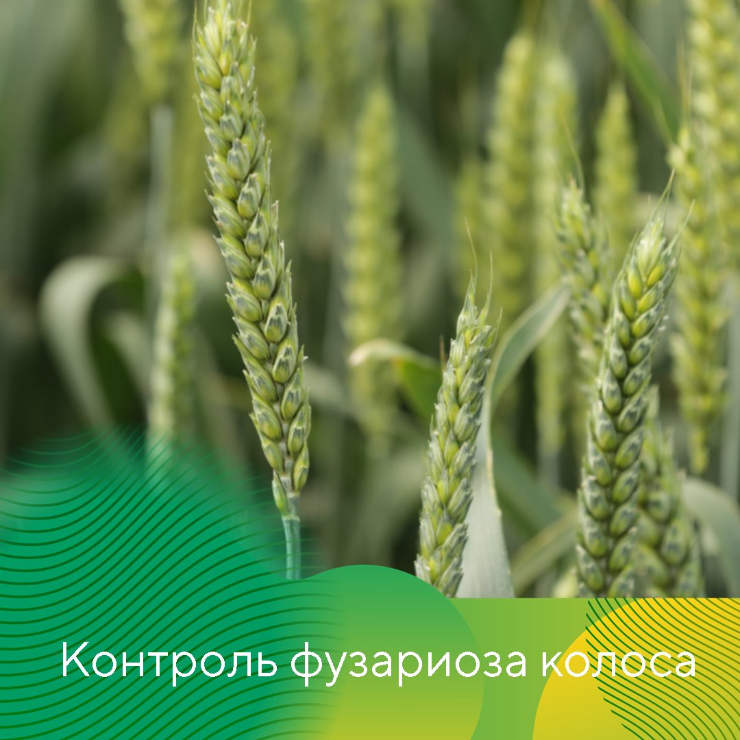 Пост 29.05.2025