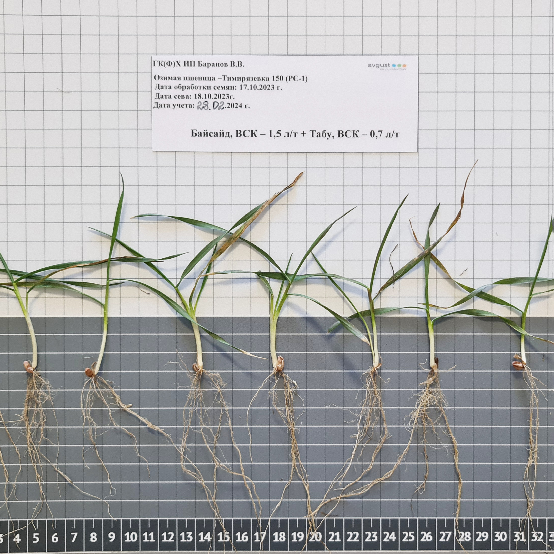 Панченко 20.03