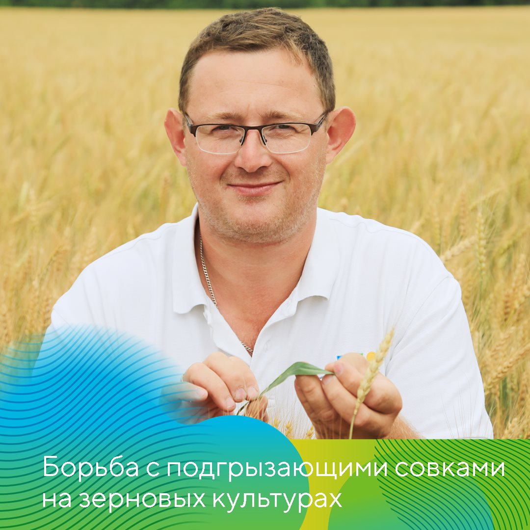 Пост 24.09.2026