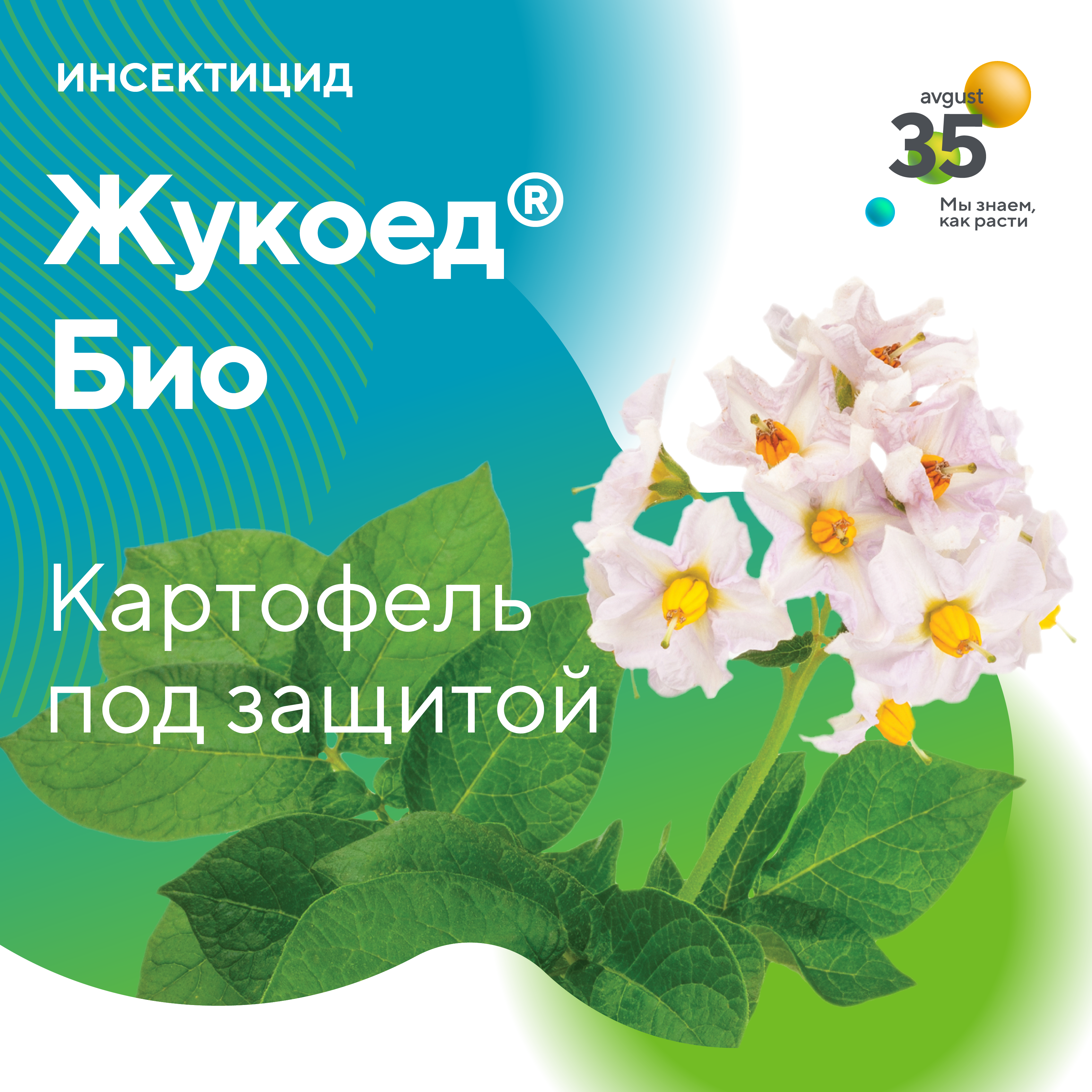 Пост 19.05.2025