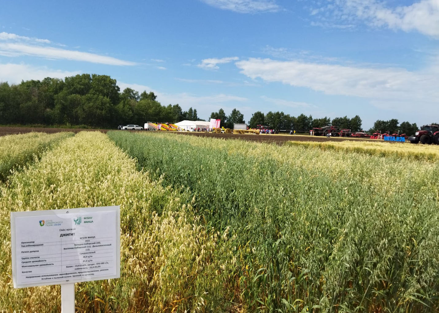 Пост 30.07.2025.1