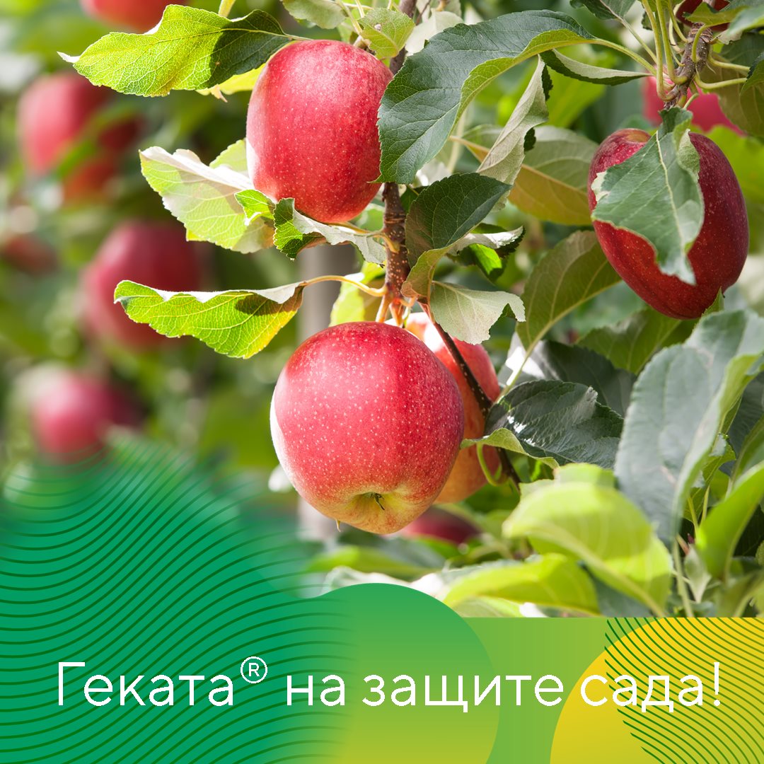 Пост 10.04.2026.1