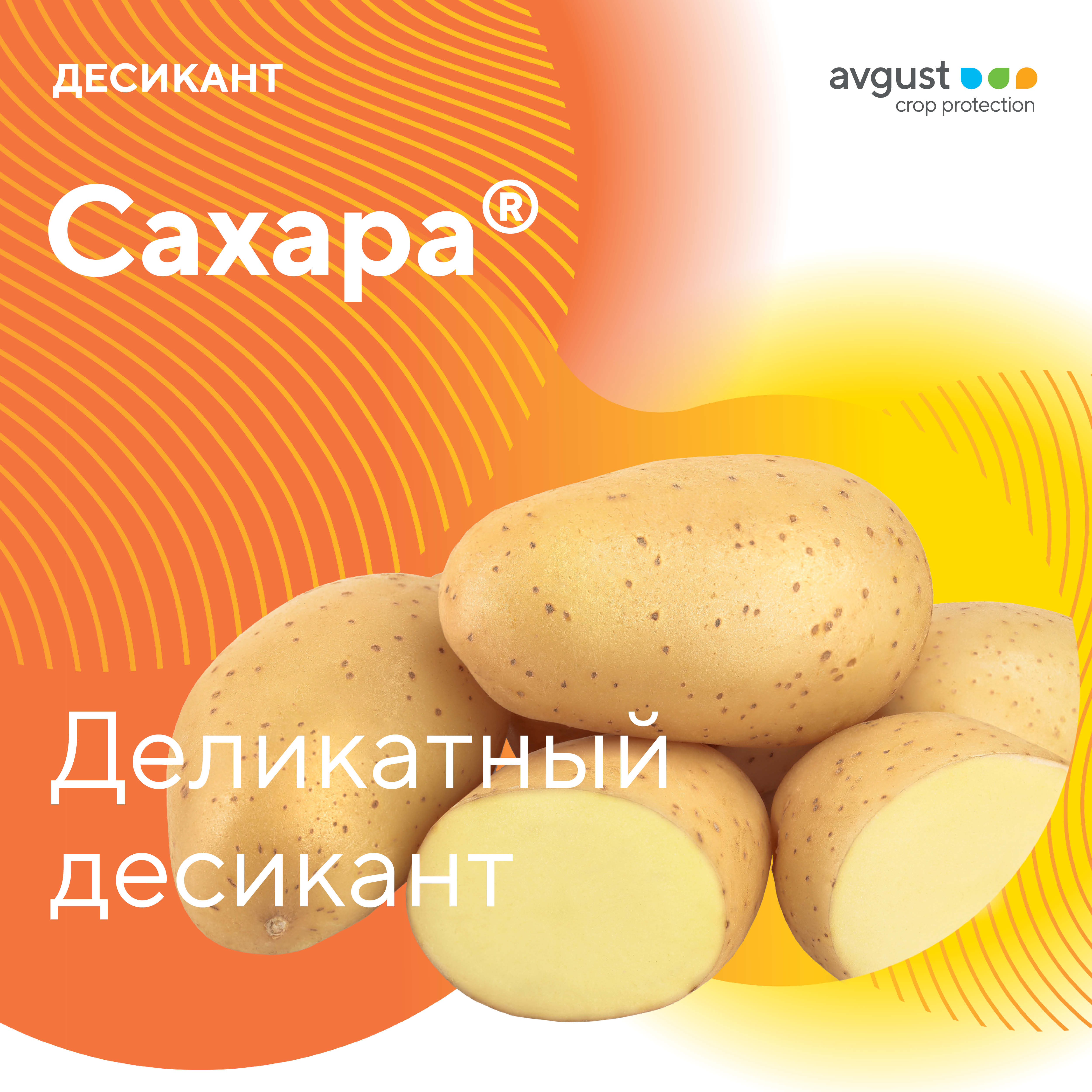 Сахара® — новый десикант июль 2023