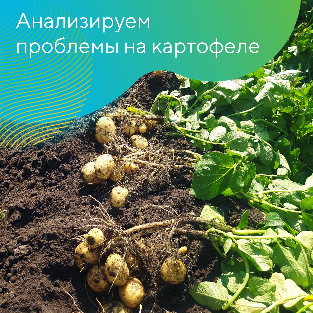 Пост 4.02.2025