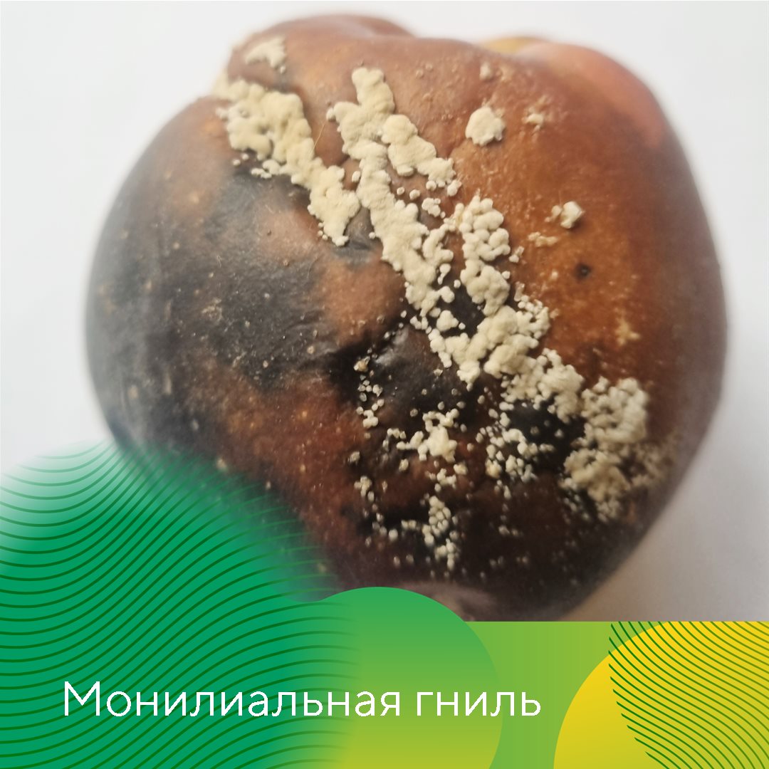 Пост 5.08.2026