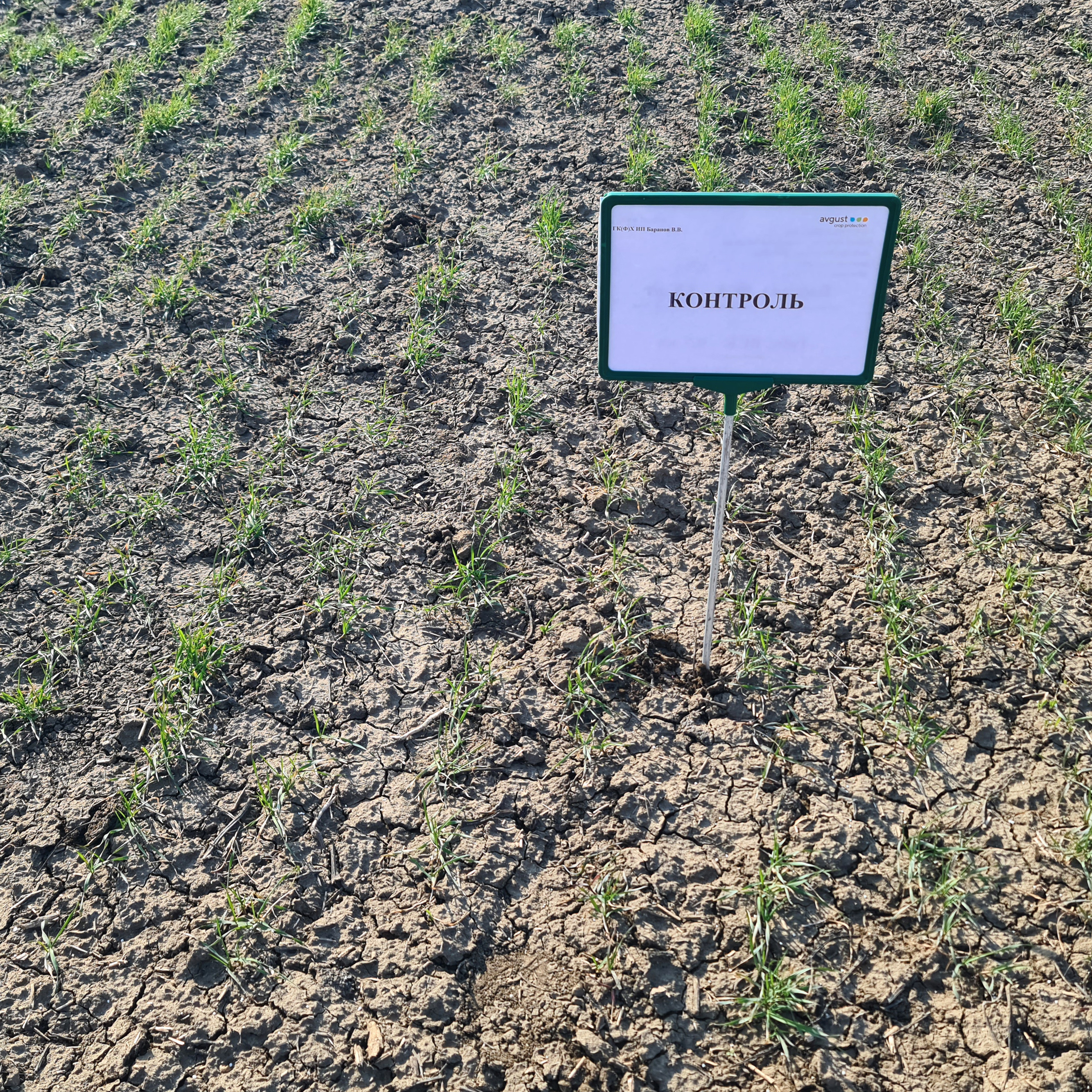 Панченко 20.03