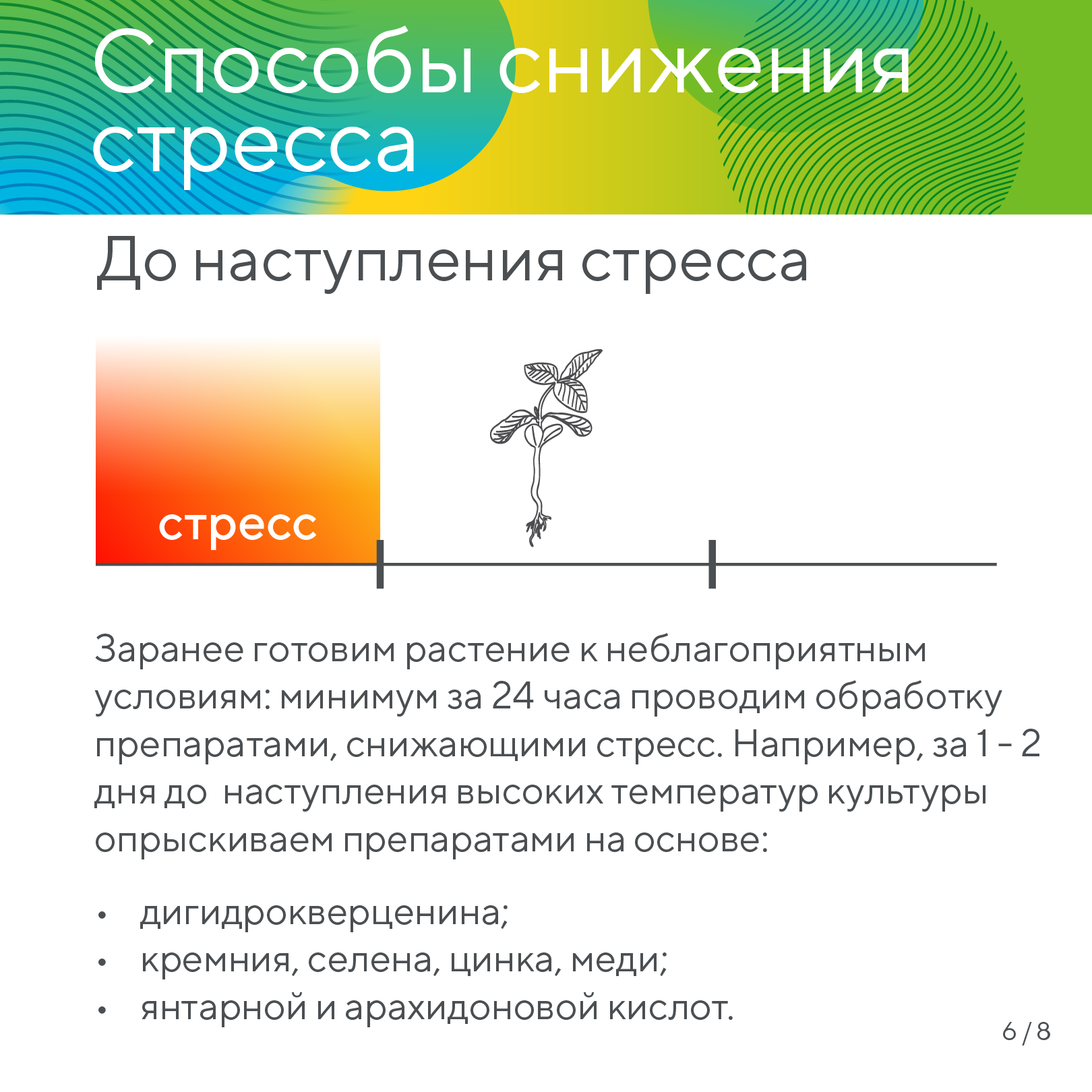 Пост 20.01.2026.1