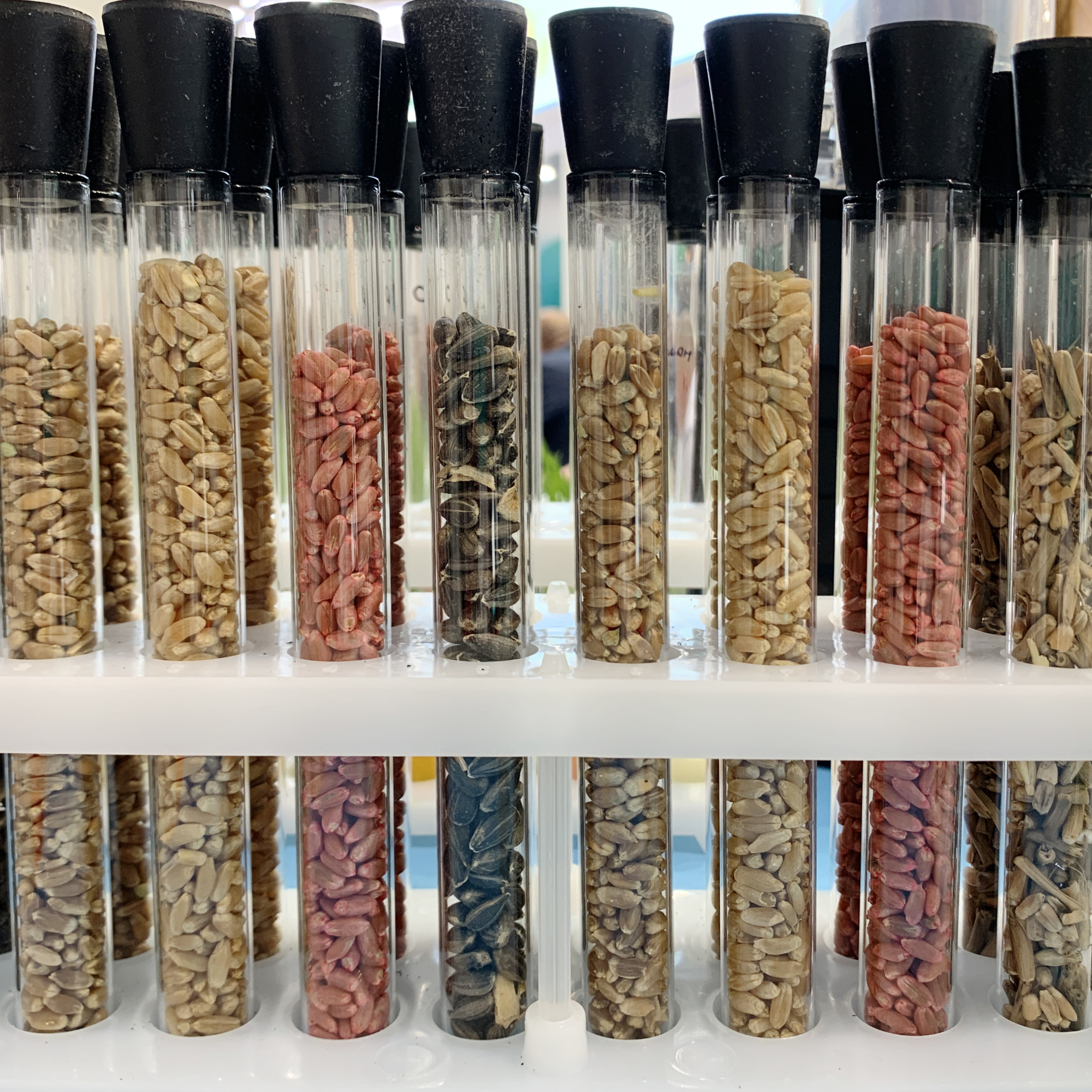 Третий день международной сельскохозяйственной выставки «ЮГАГРО»