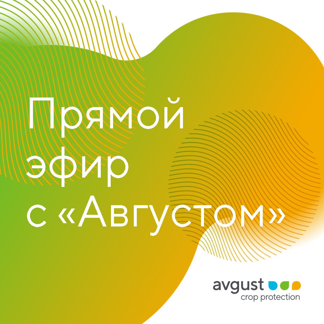 Прямой эфир май 2023