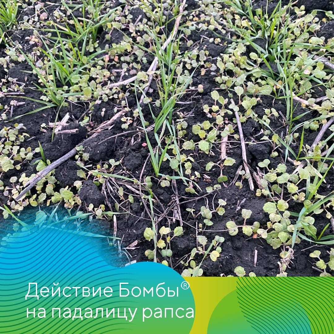 ООО НПК «АгроЛидер» 2022