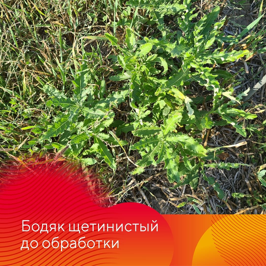 Менеджер-технолог представительства «Августа» в Ставрополе Владислав Панченко сентябрь 2022