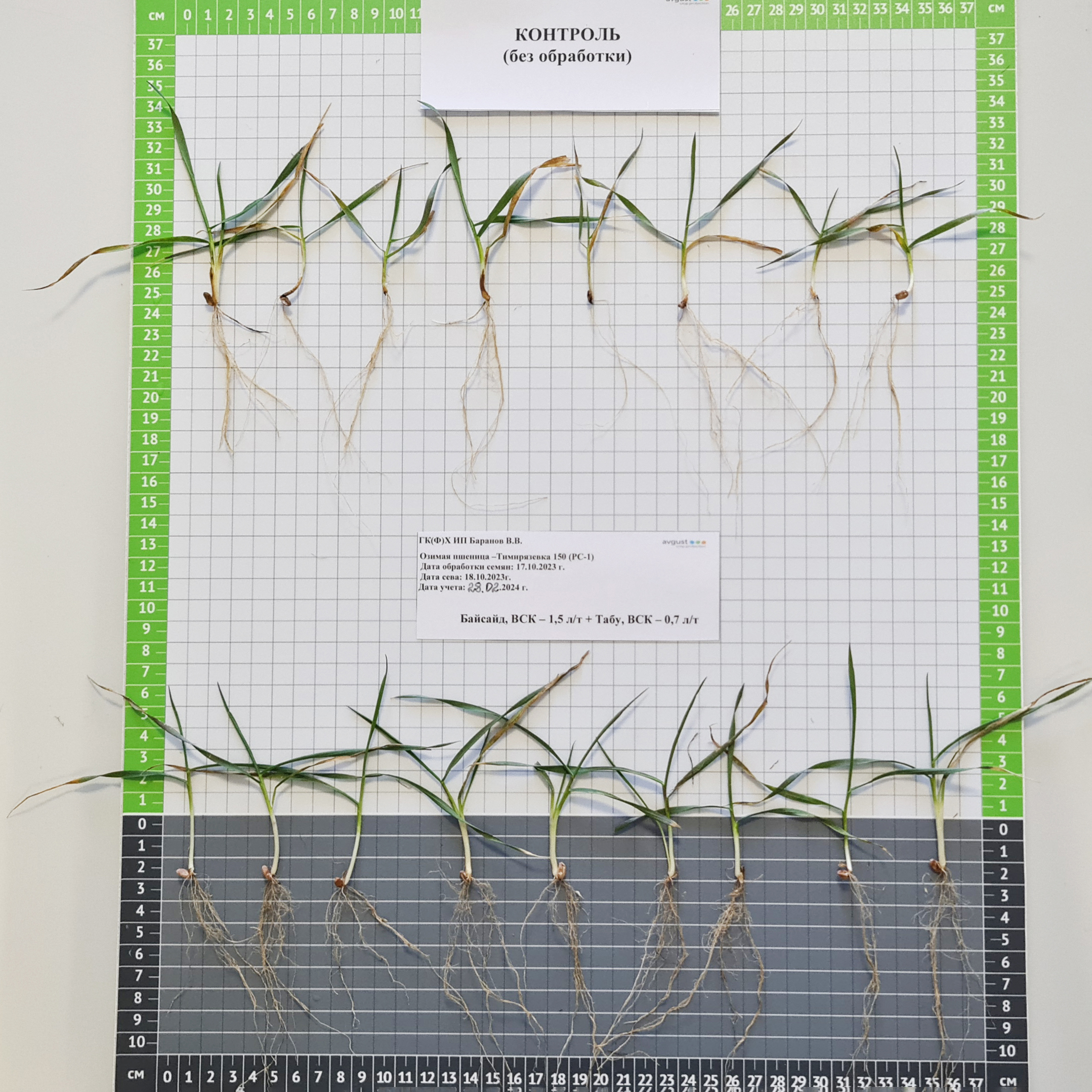 Панченко 20.03