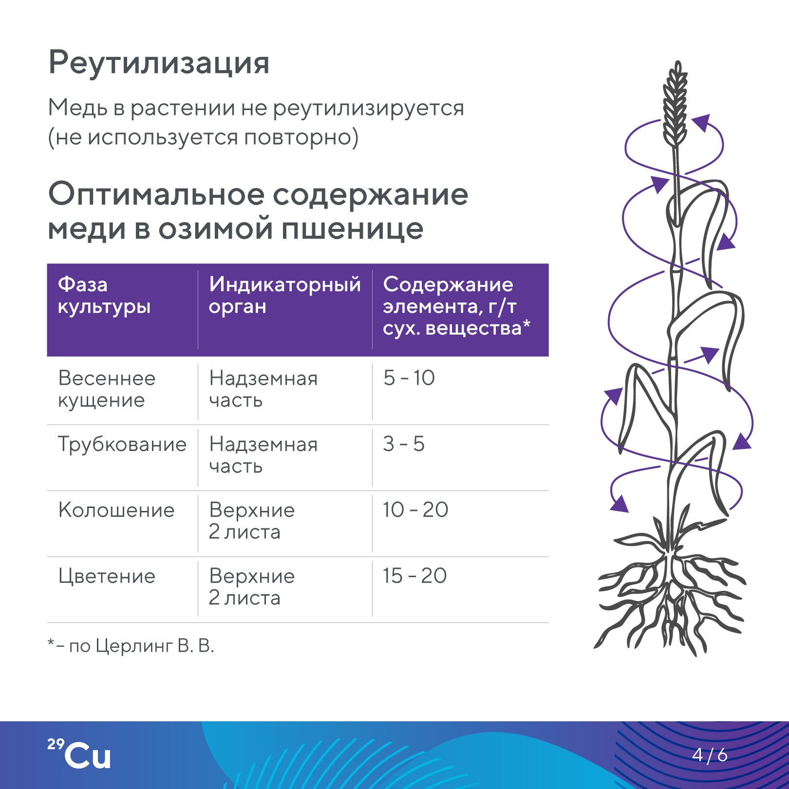 Пост 13.05.2026