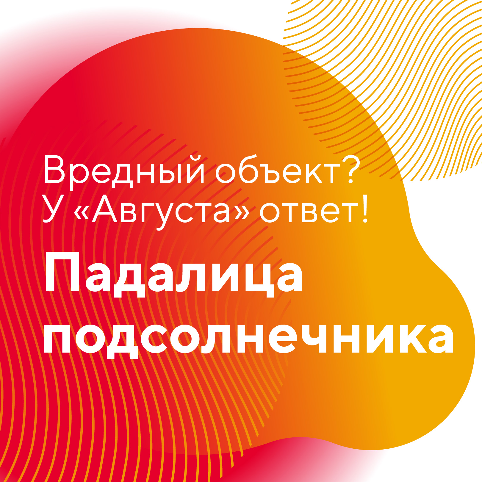Пост 19.05.2026