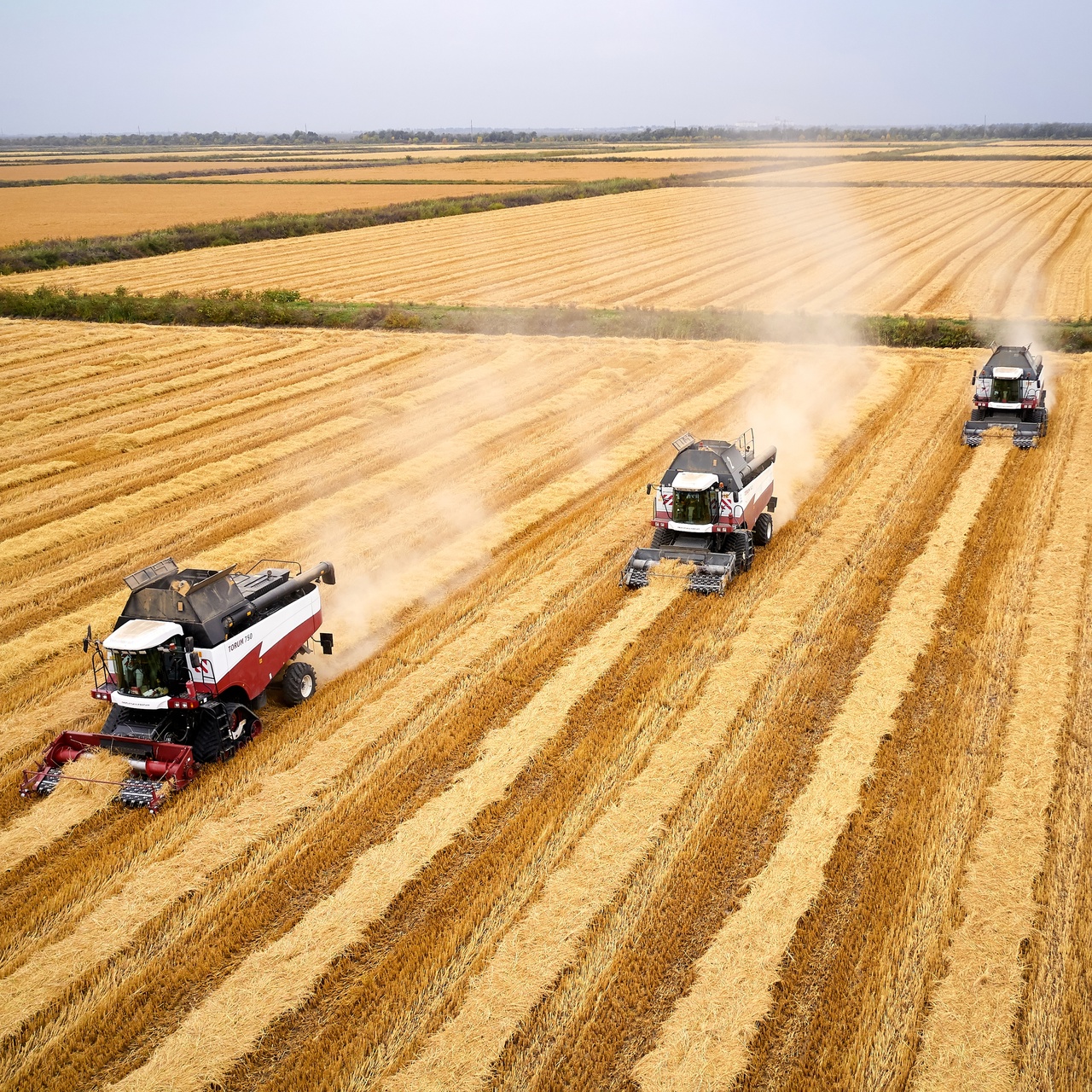 ООО «Кубрис» 2023