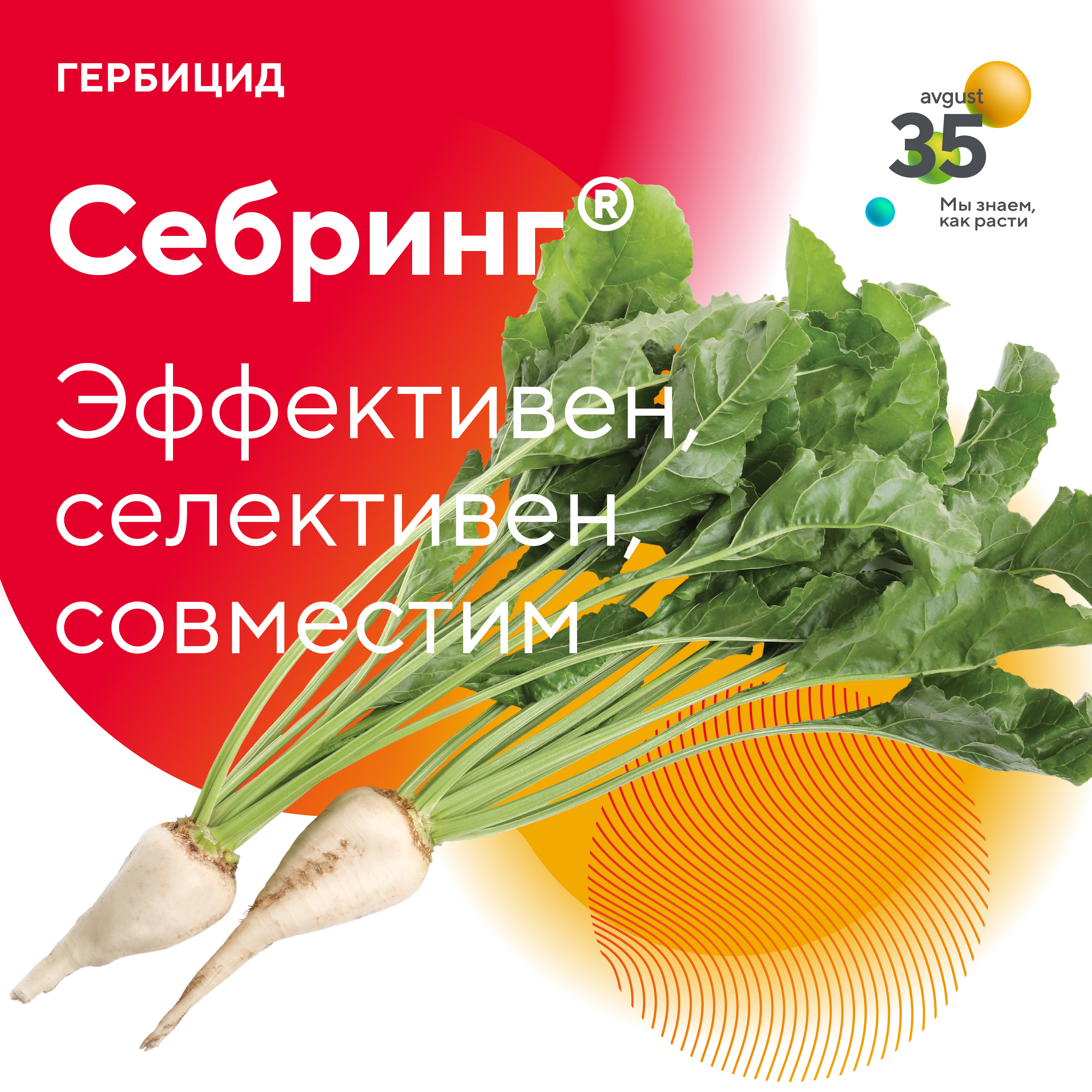 Пост 07.04.2025