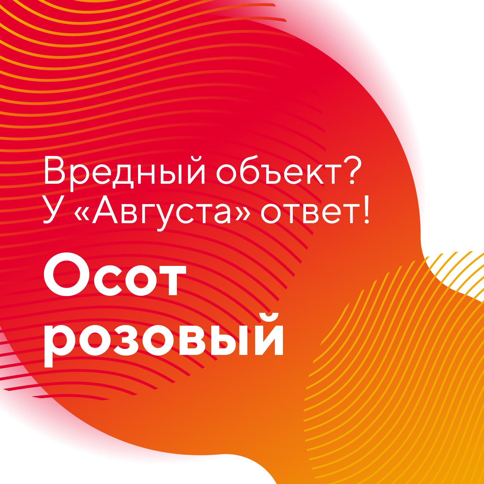 Пост 25.06.2026