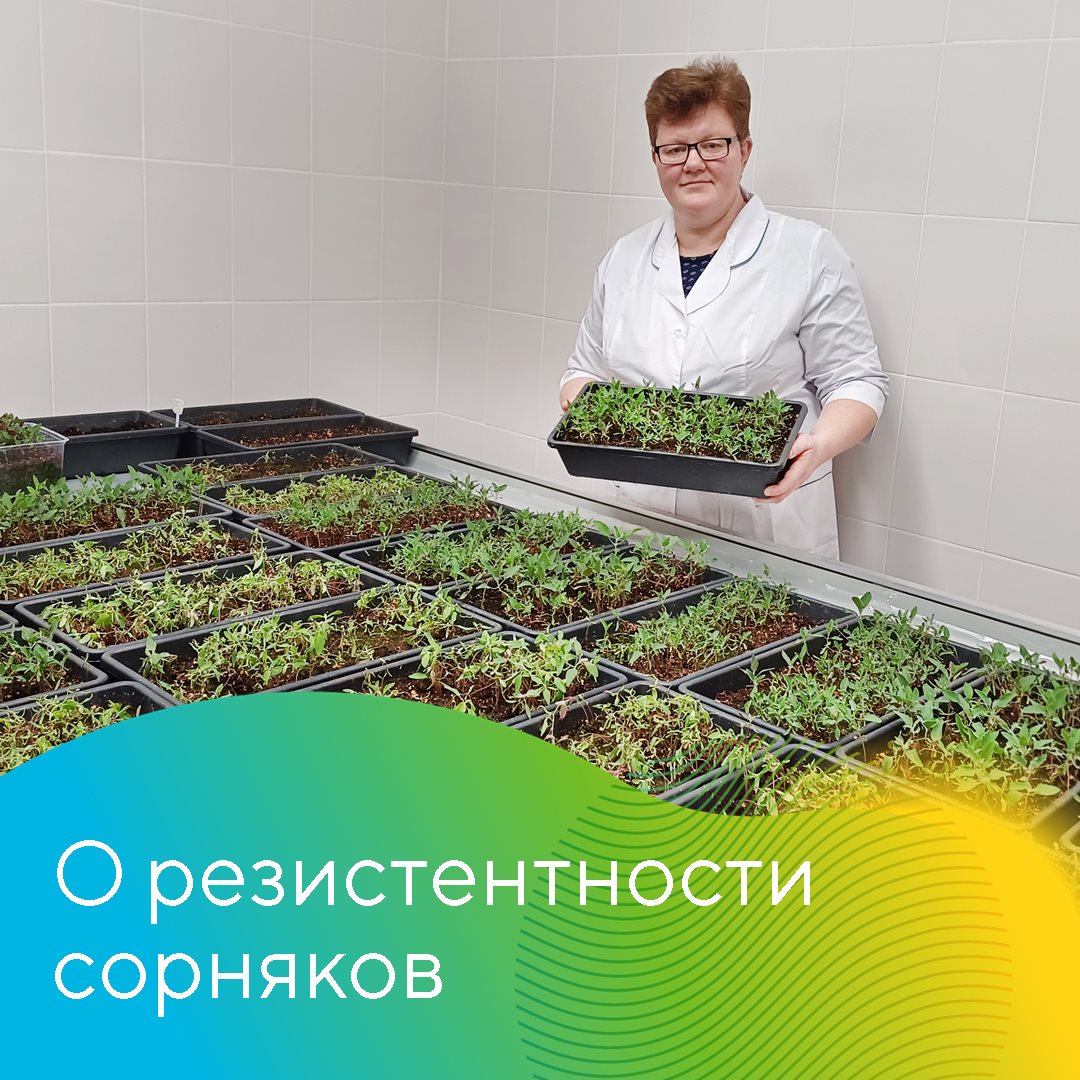 Пост 19.02.2025