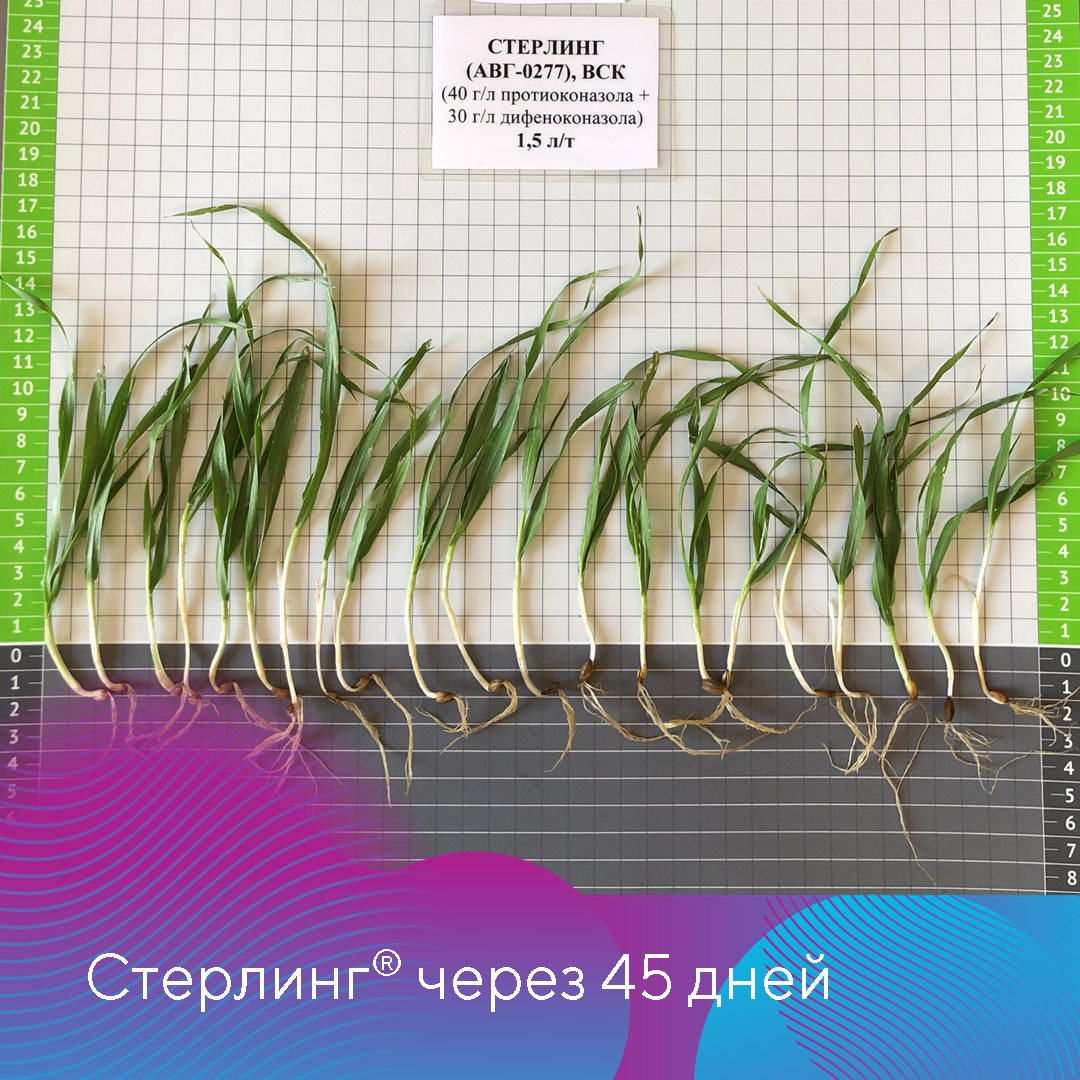 Стерлинг 21.02