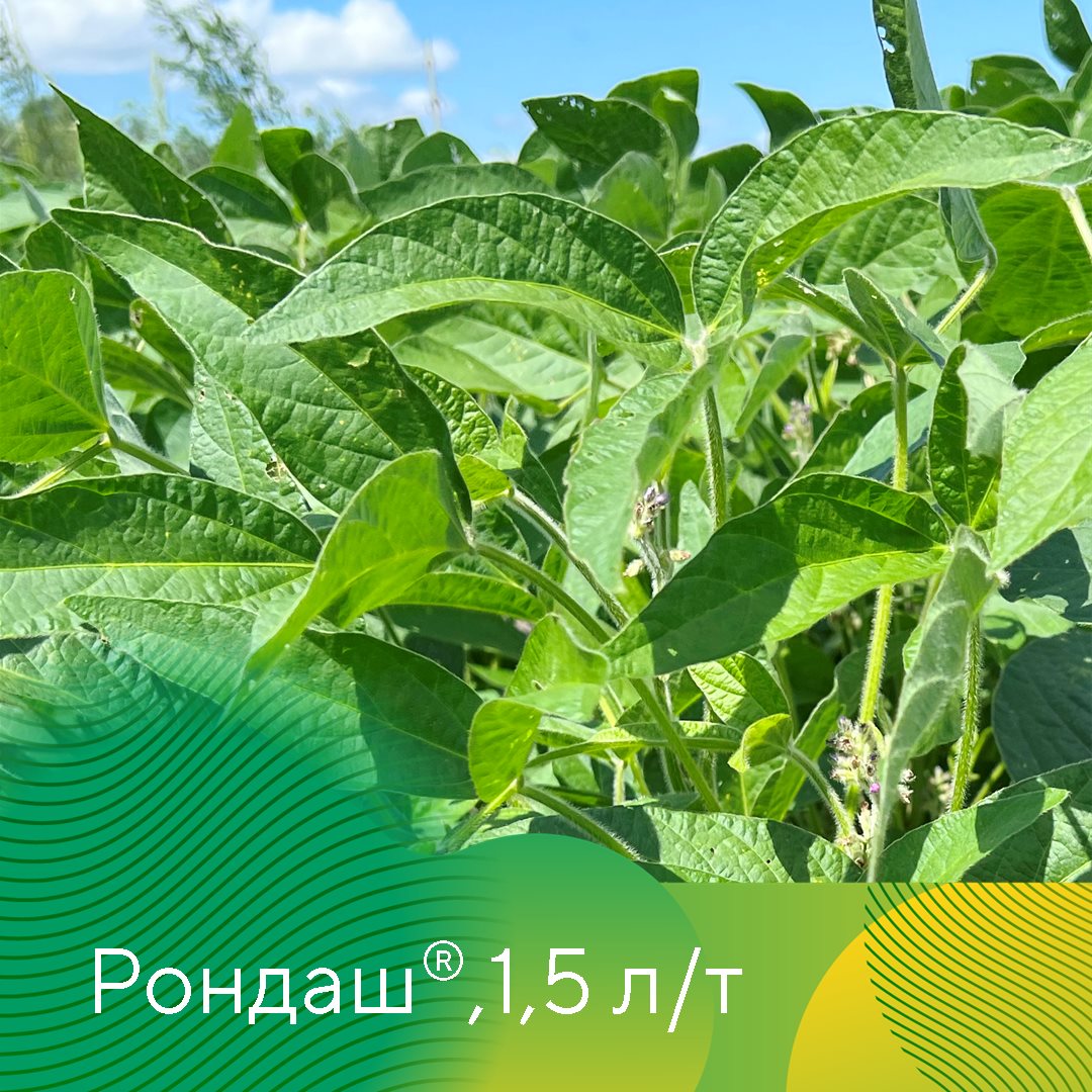 Пост 3.07.2026