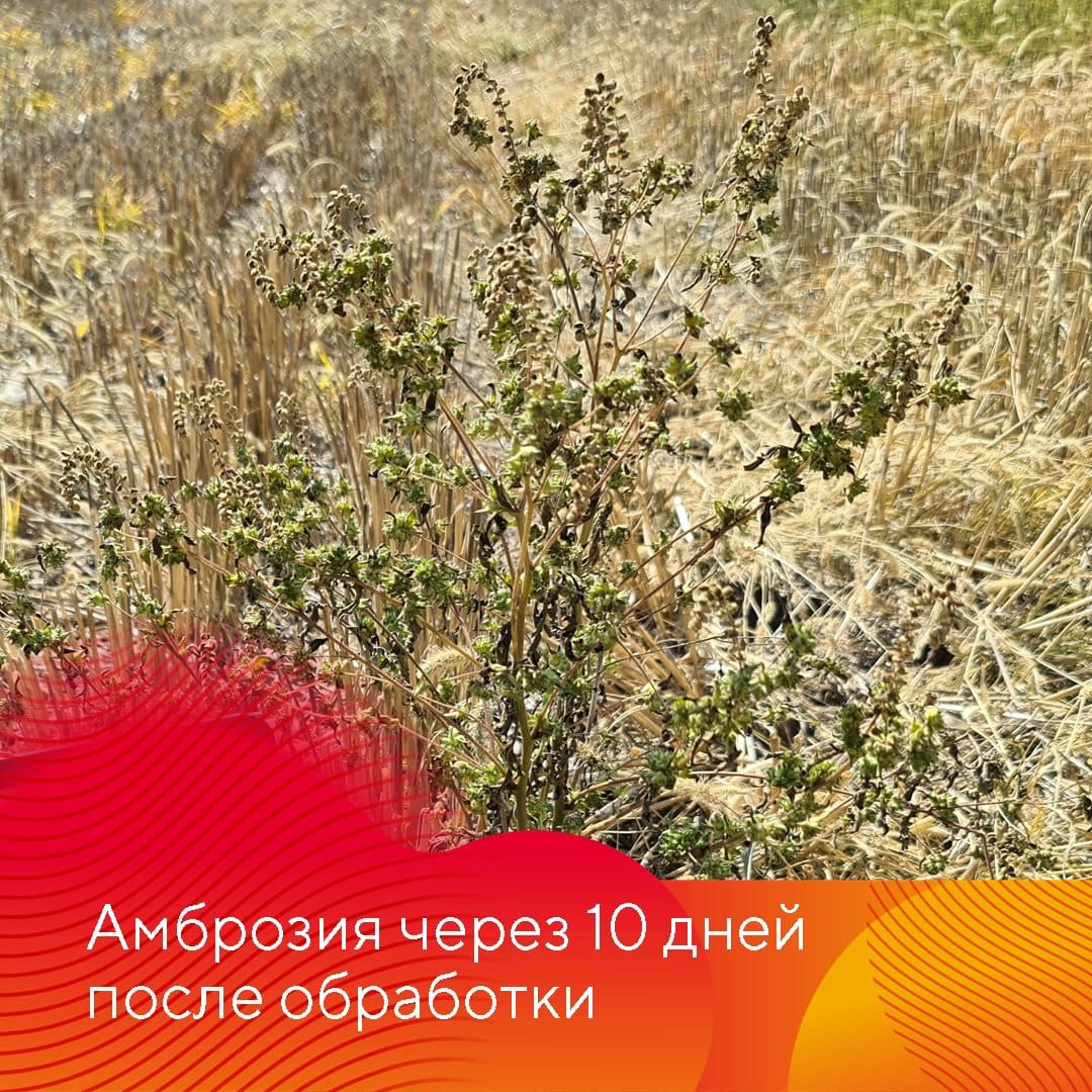 Менеджер-технолог представительства «Августа» в Ставрополе Владислав Панченко сентябрь 2022