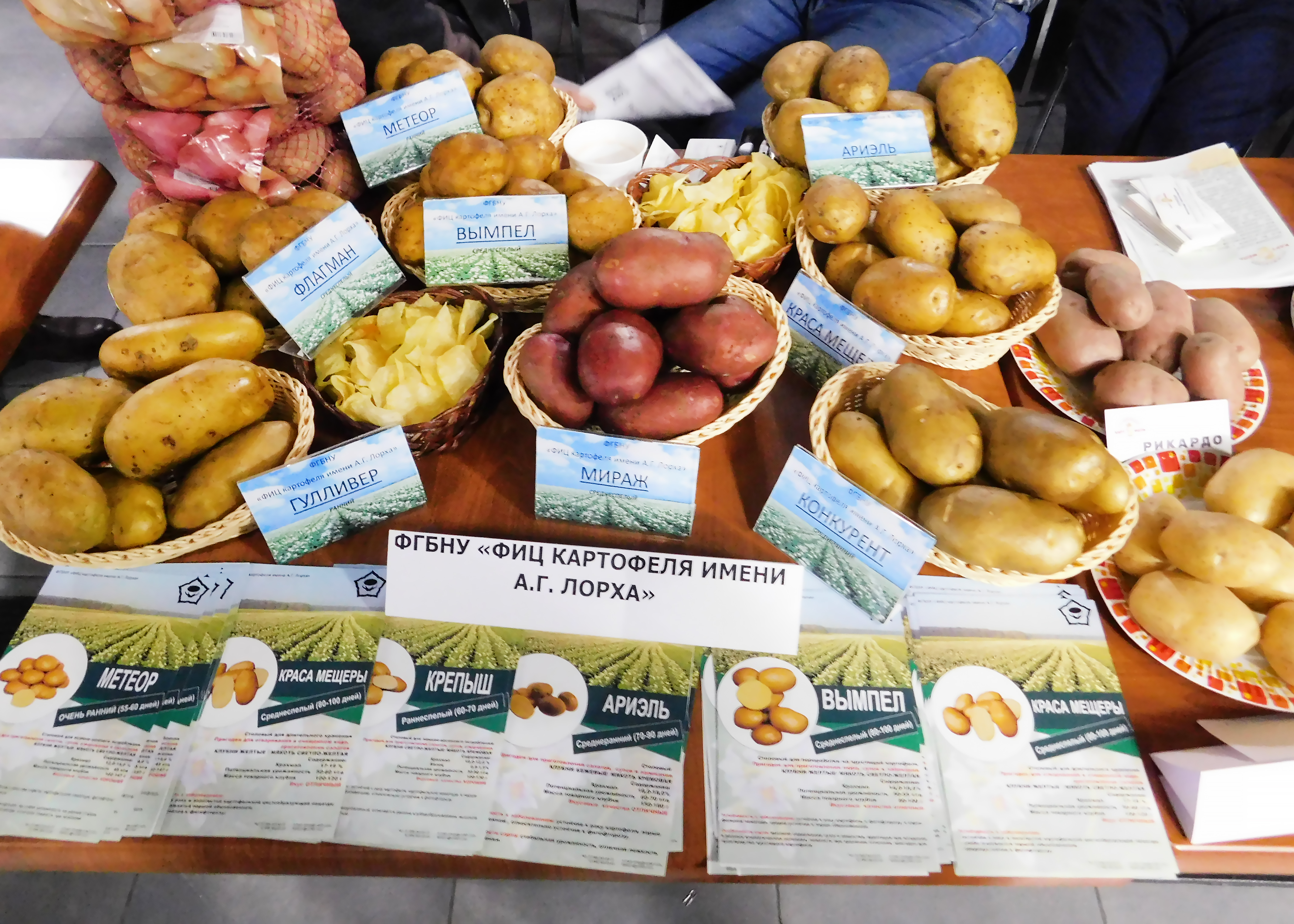 Арзамас 09.02.2024