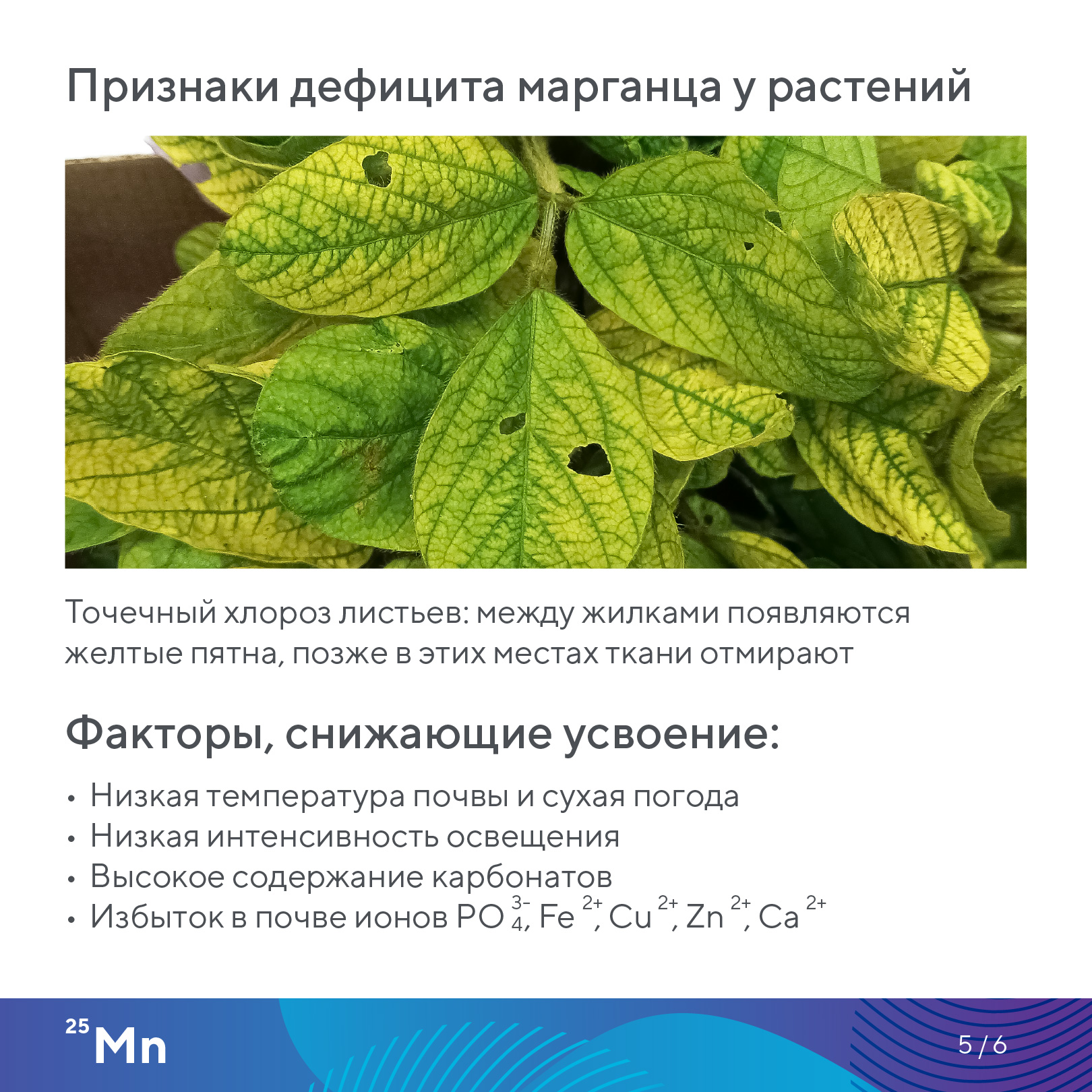 Пост 25.09.2026