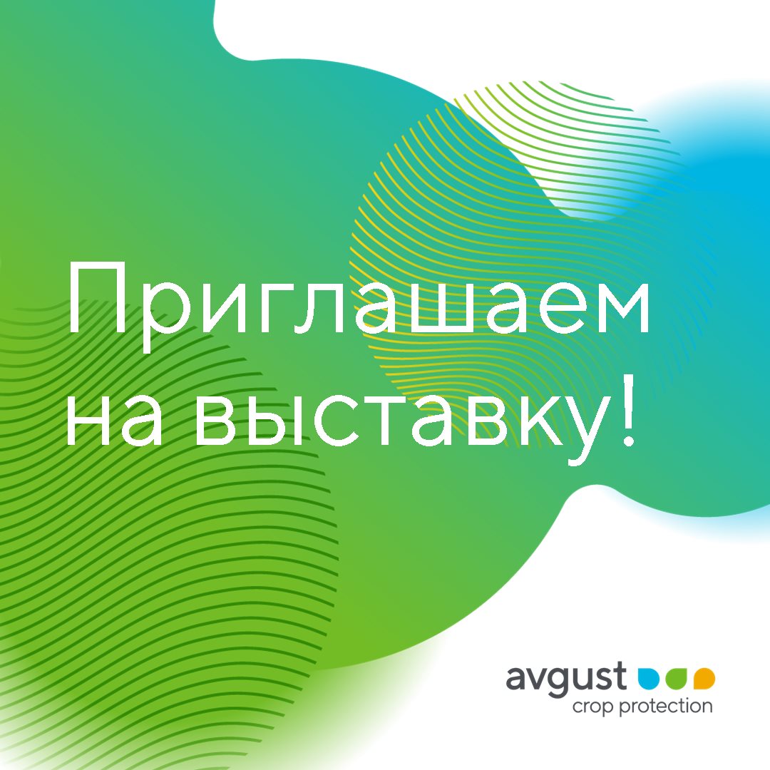 Блог компании Avgust