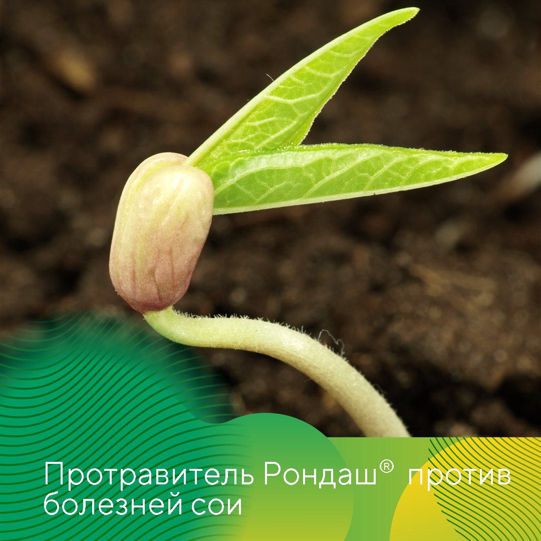 Пост 3.07.2026