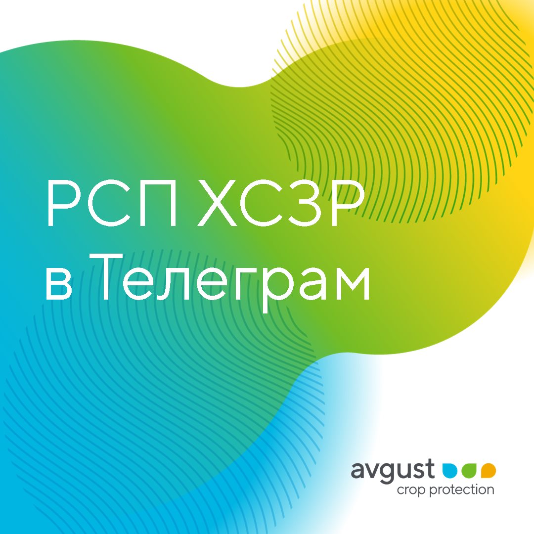 Пост 20.05.2025
