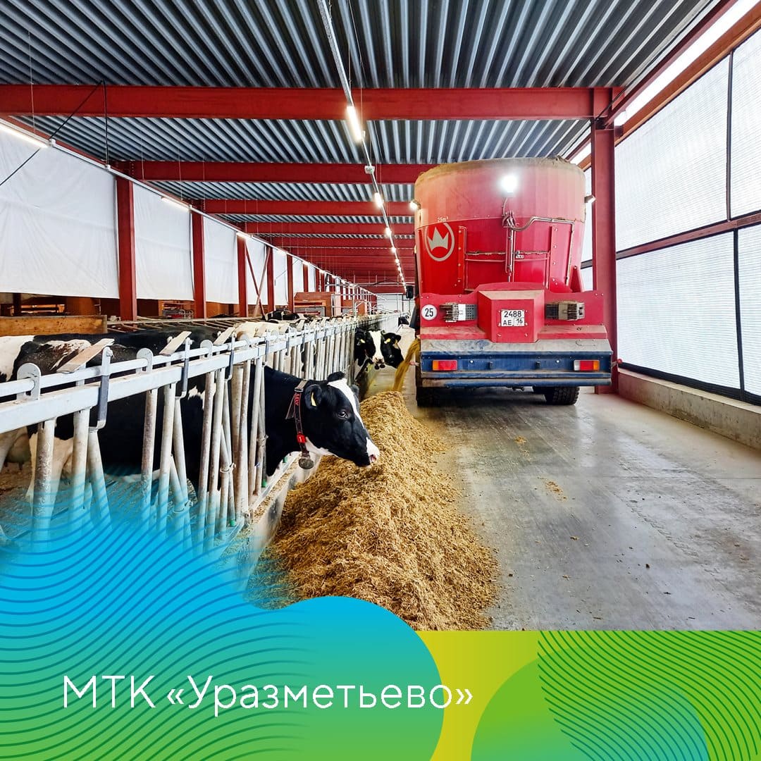 Новогоднее видеообращение к сотрудникам генерального директора 2022