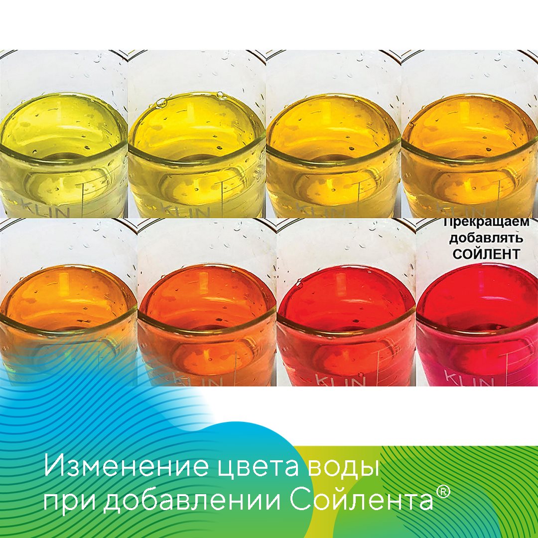 Сойлент 31.10.2023