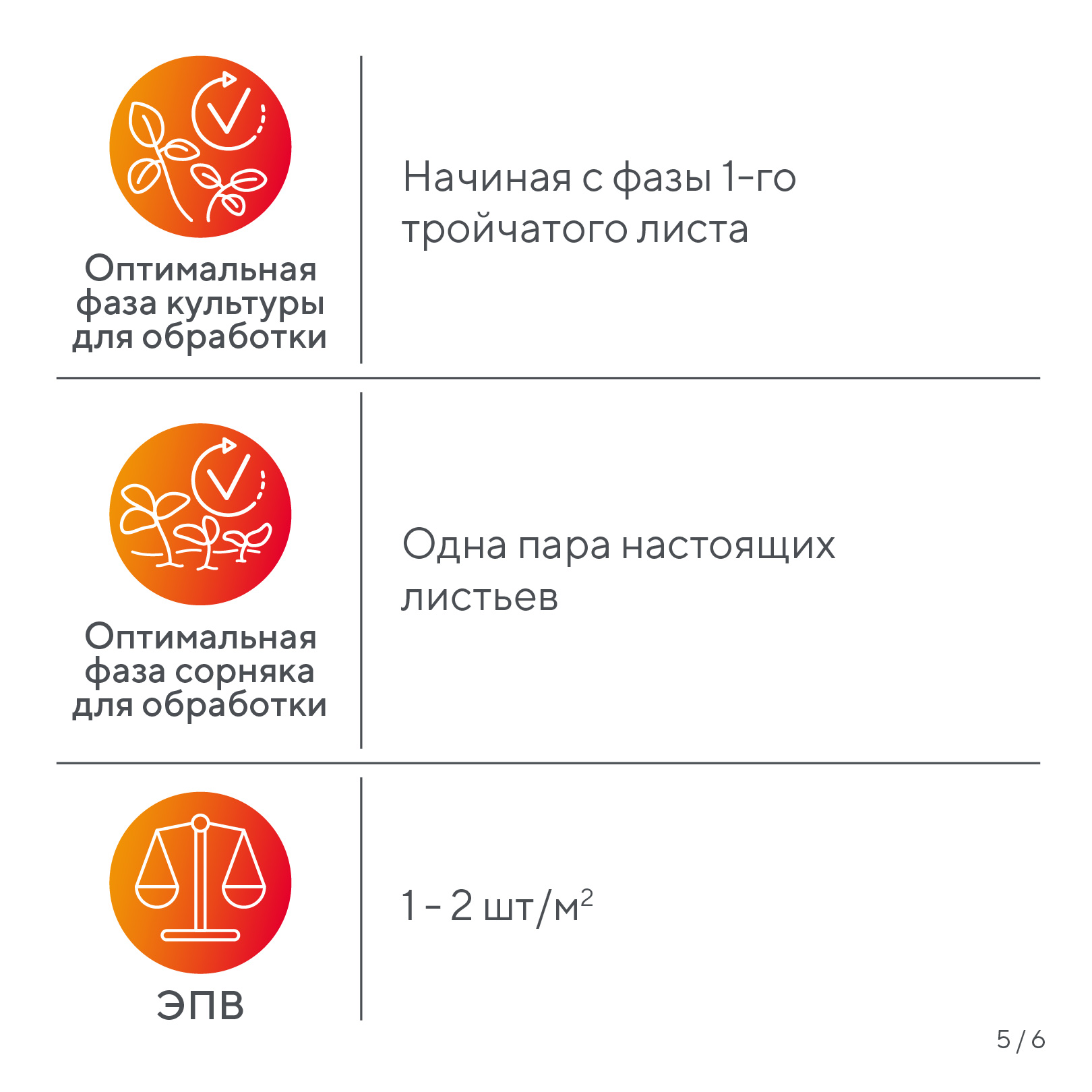 Пост 19.05.2026