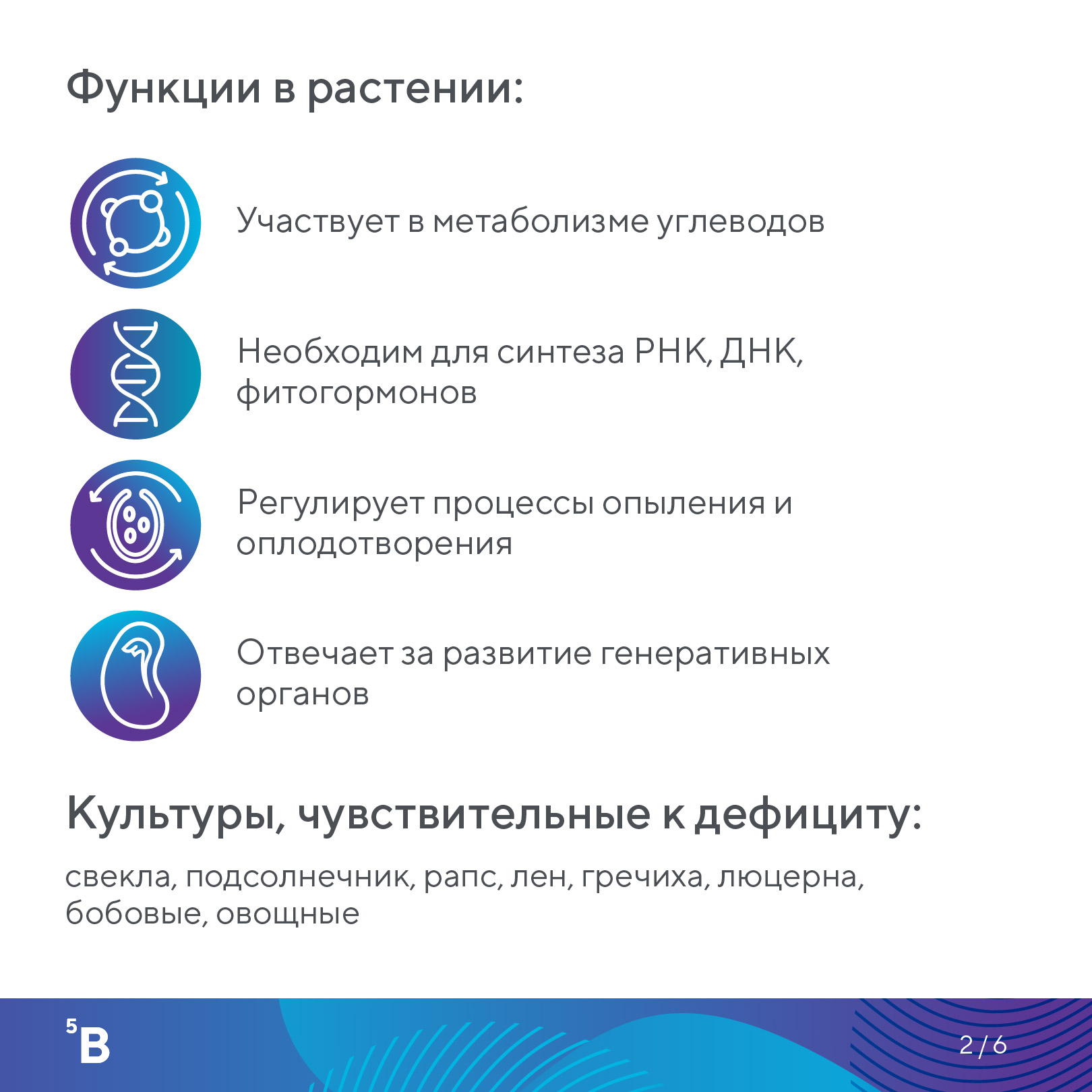Пост 21.08.2026