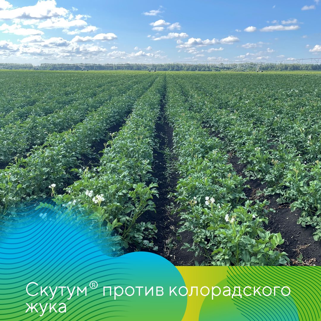 Пост 27.05.2025