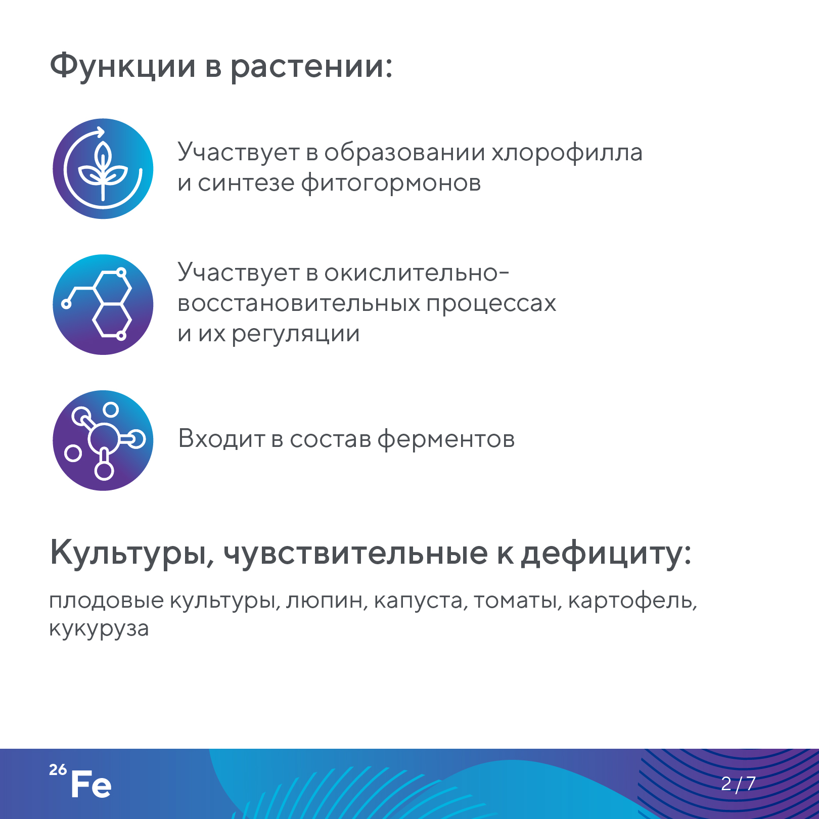 Пост 28.10.2026