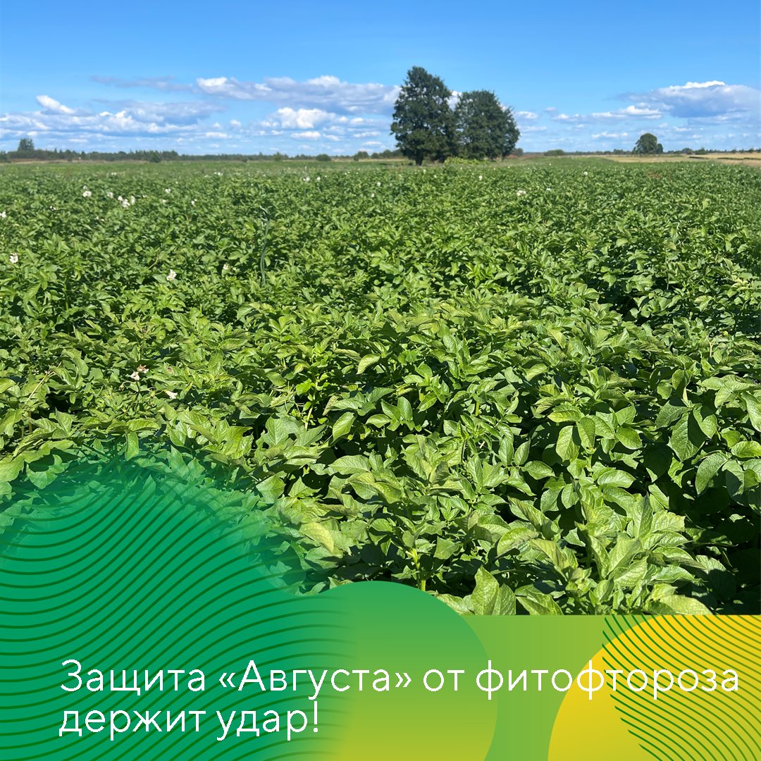 Пост 21.08.2025