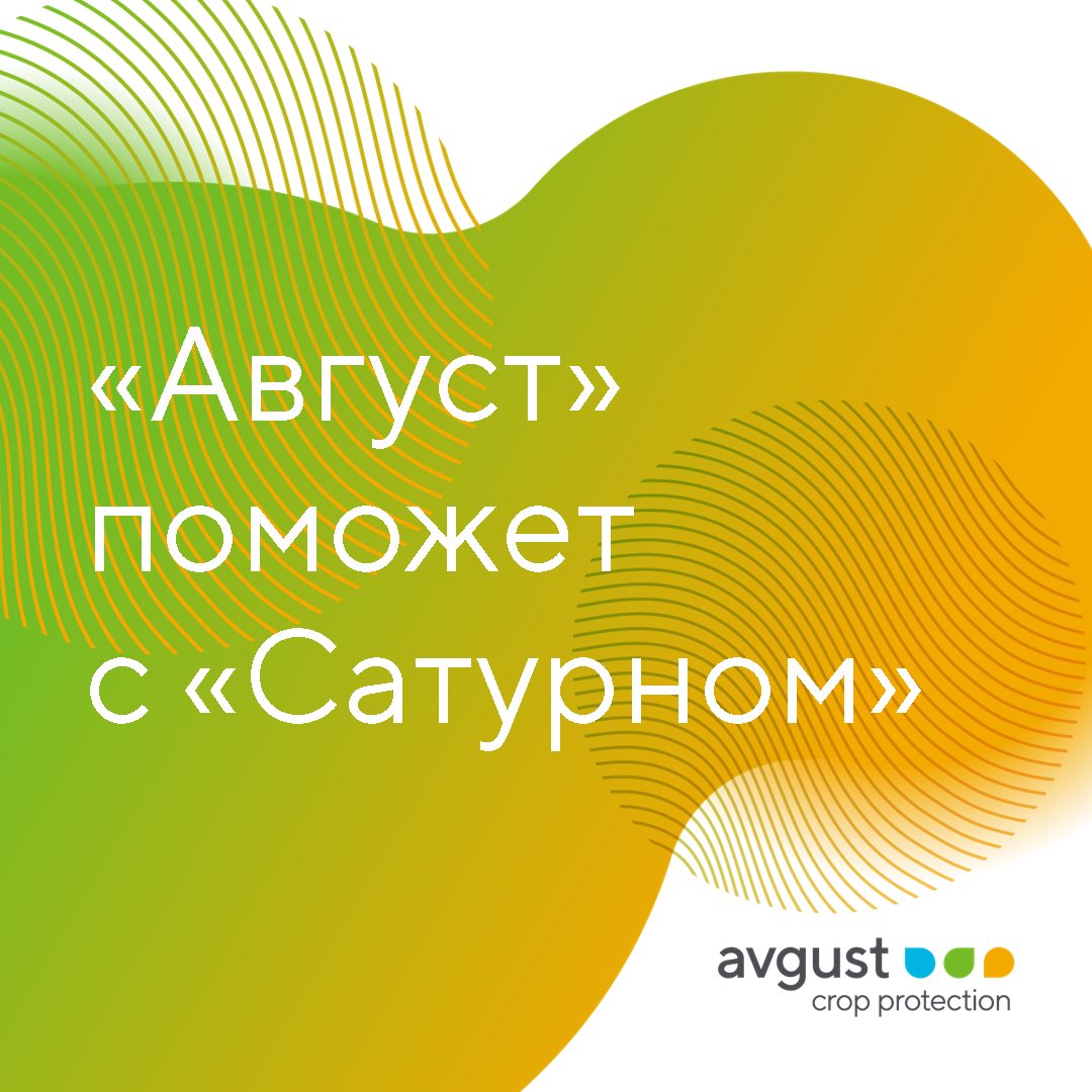 Блог компании Avgust