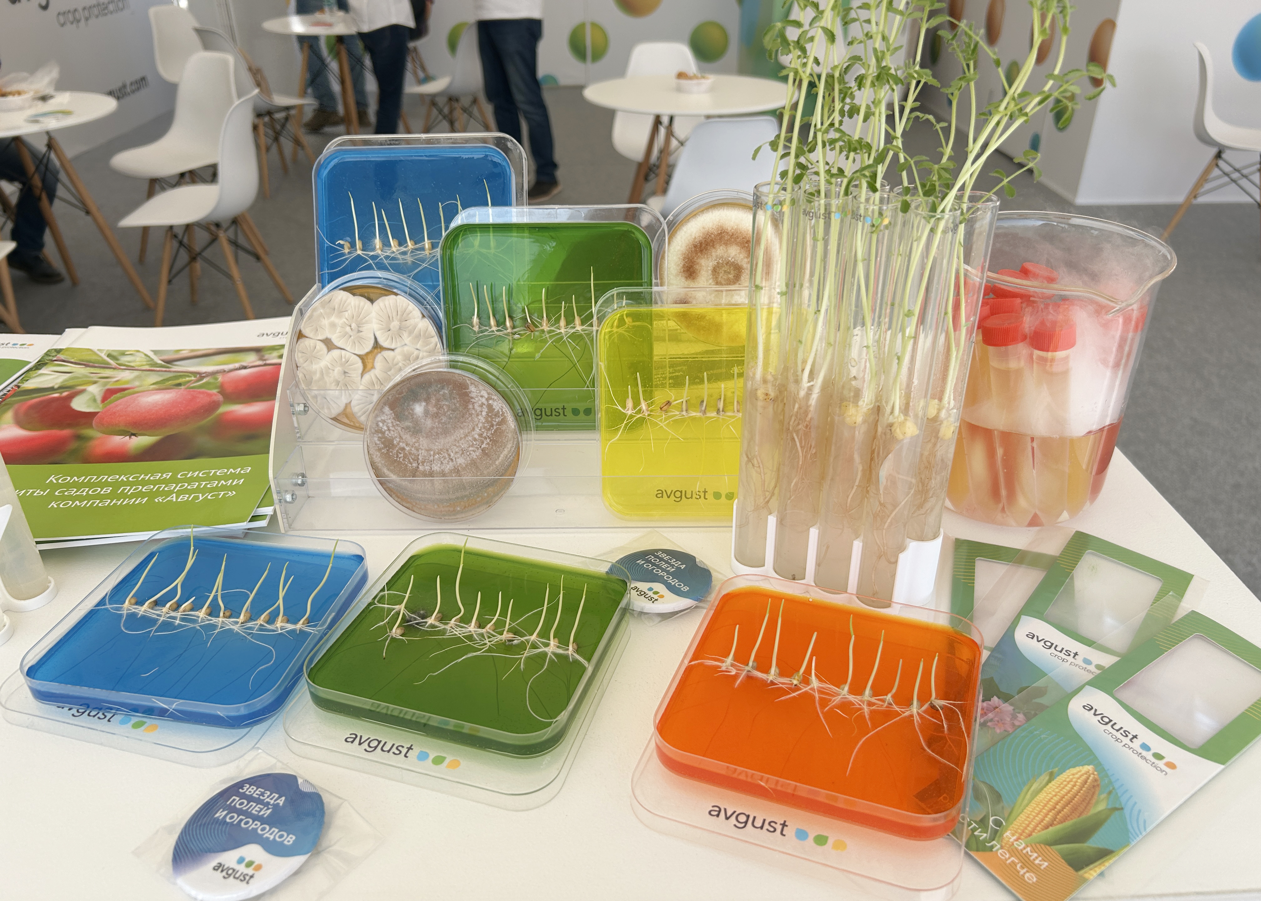 Пост 10.06.2025.1