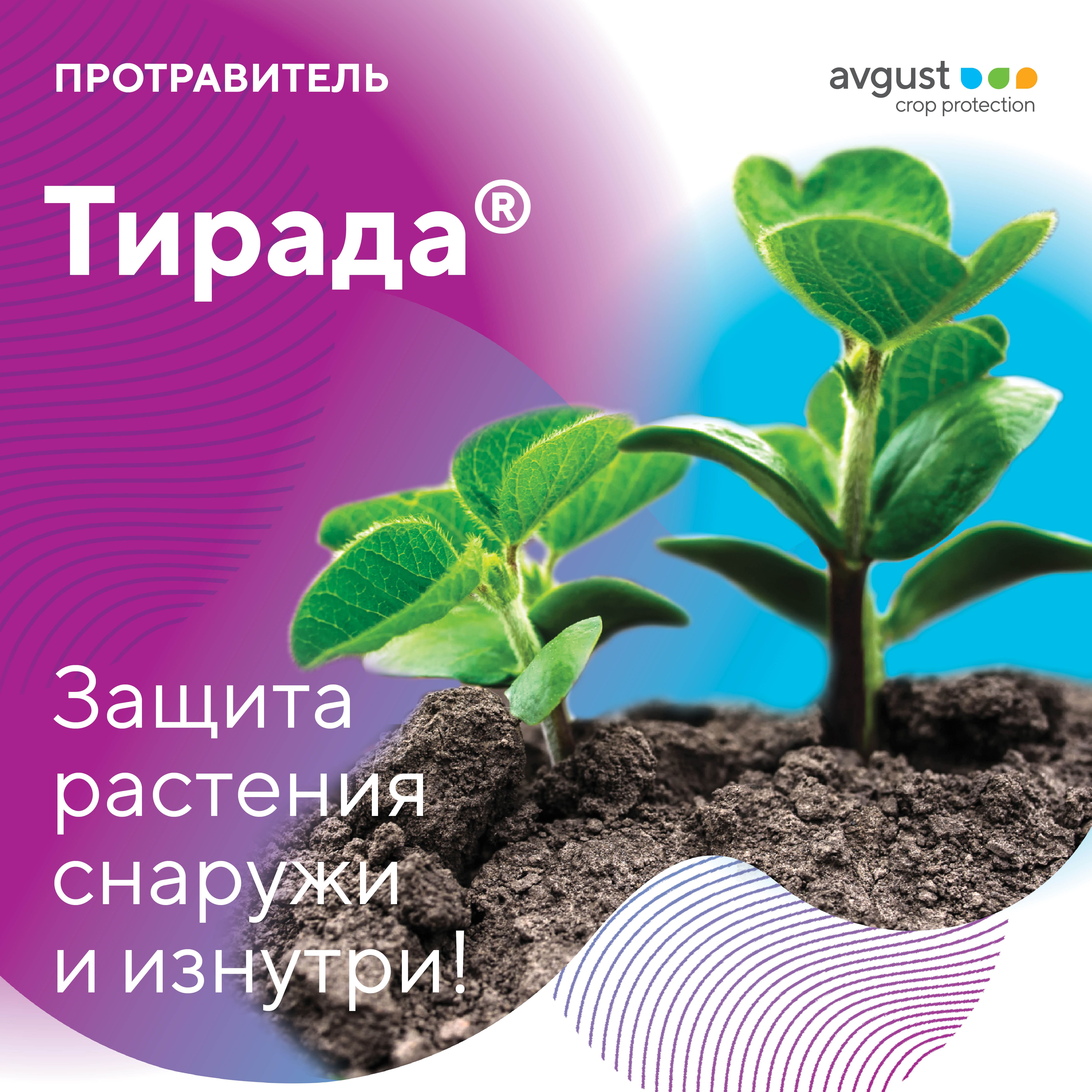 Тирада® – фунгицидный протравитель семян