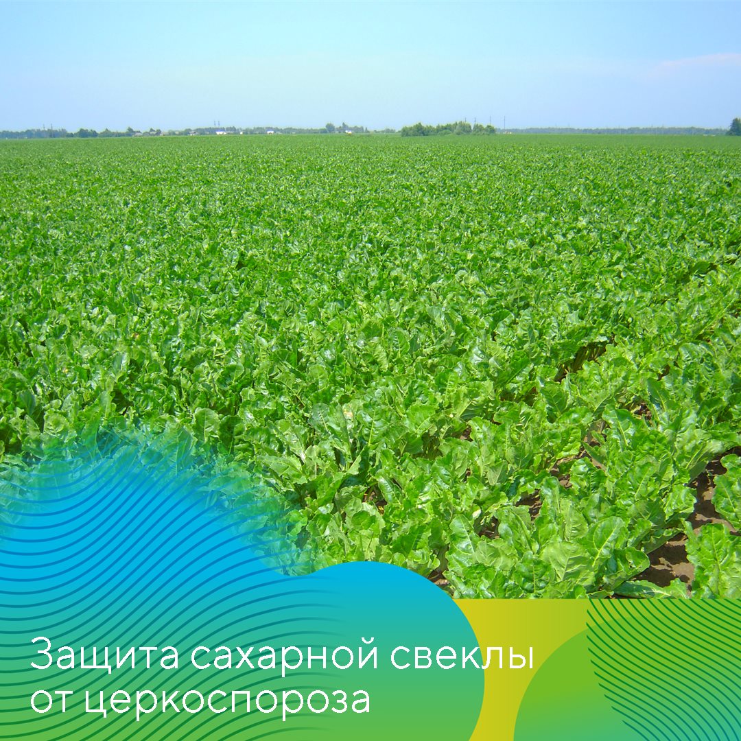 Пост 18.06.2026