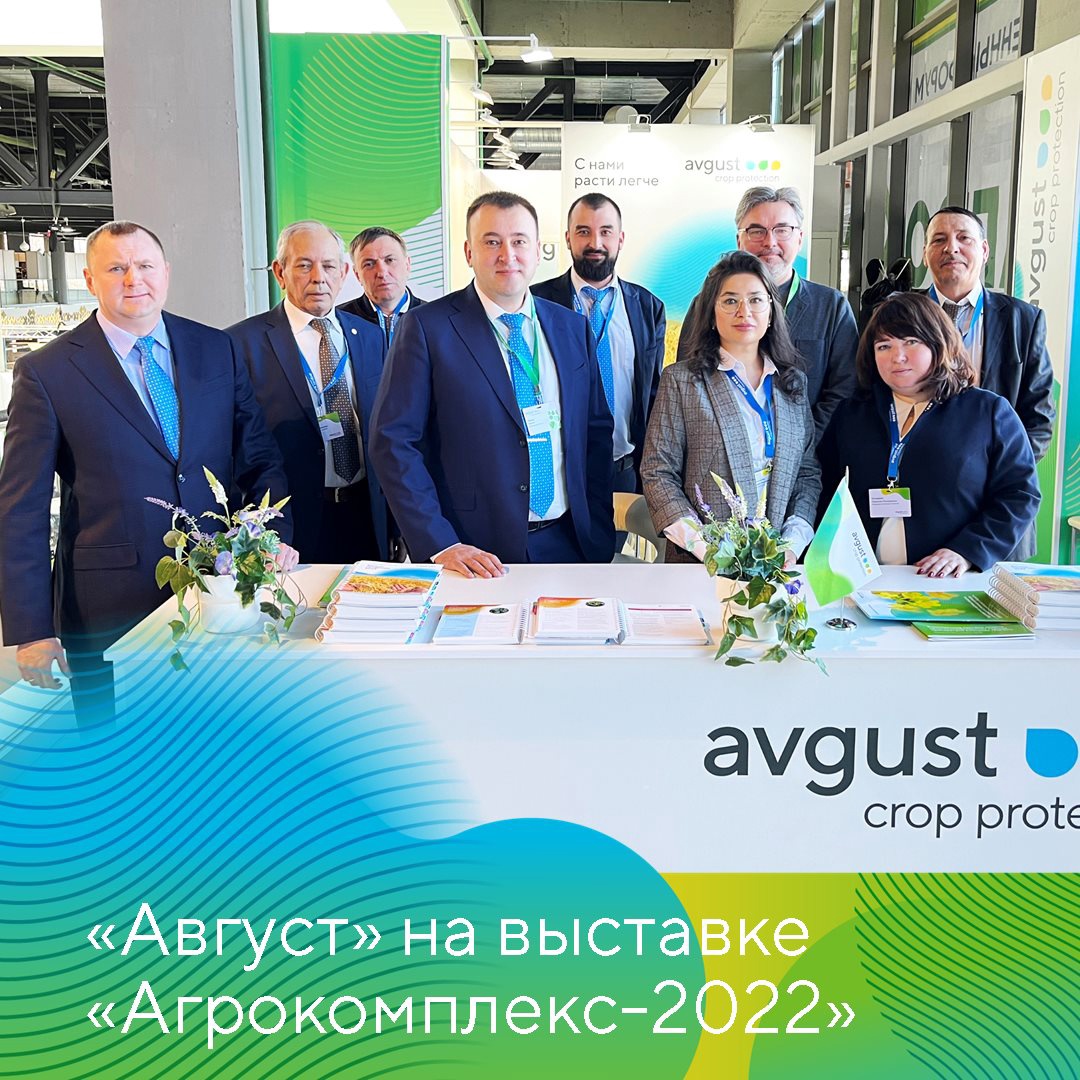 Блог компании Avgust