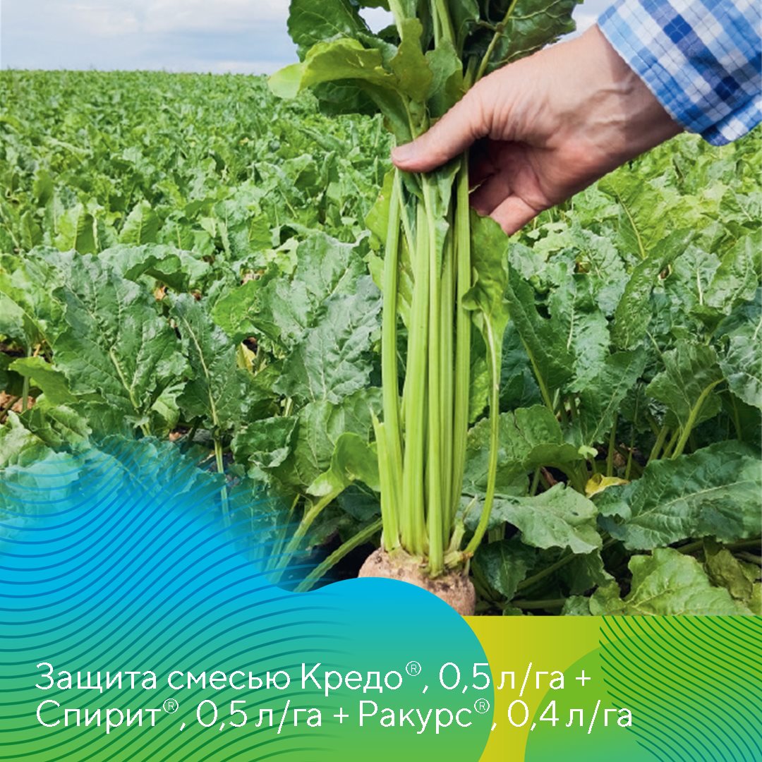 Пост 18.06.2026