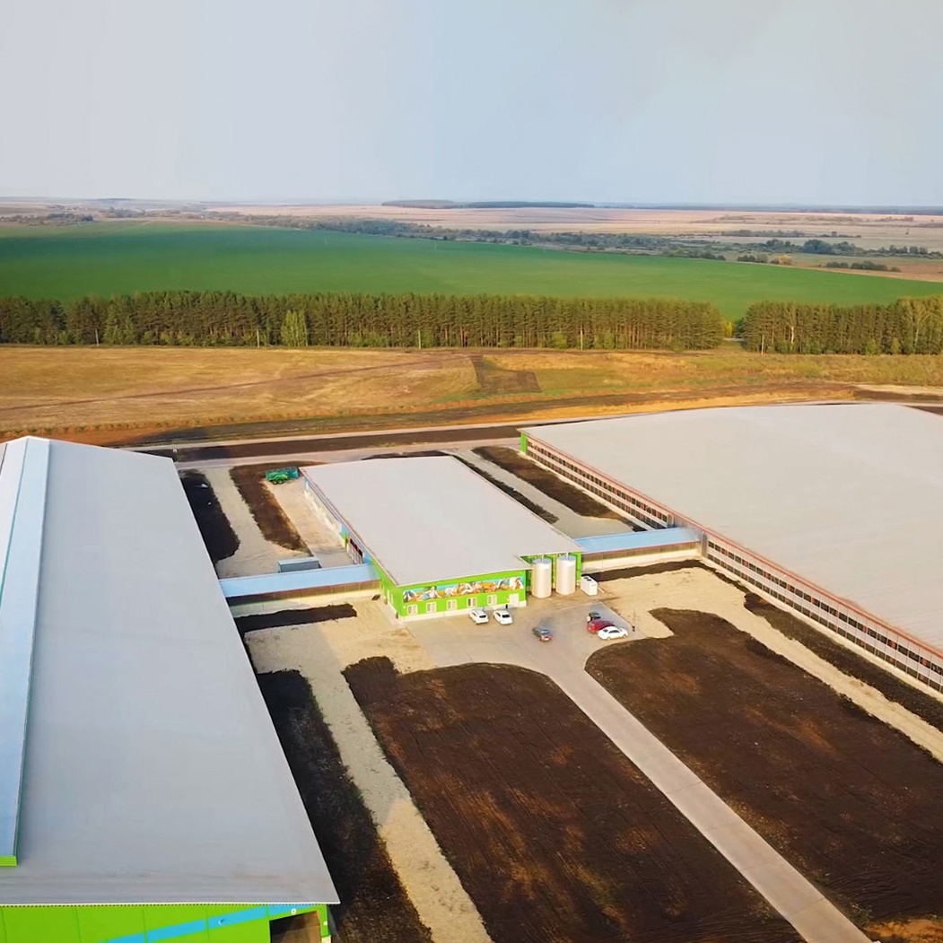 Новые фермы «Августа»