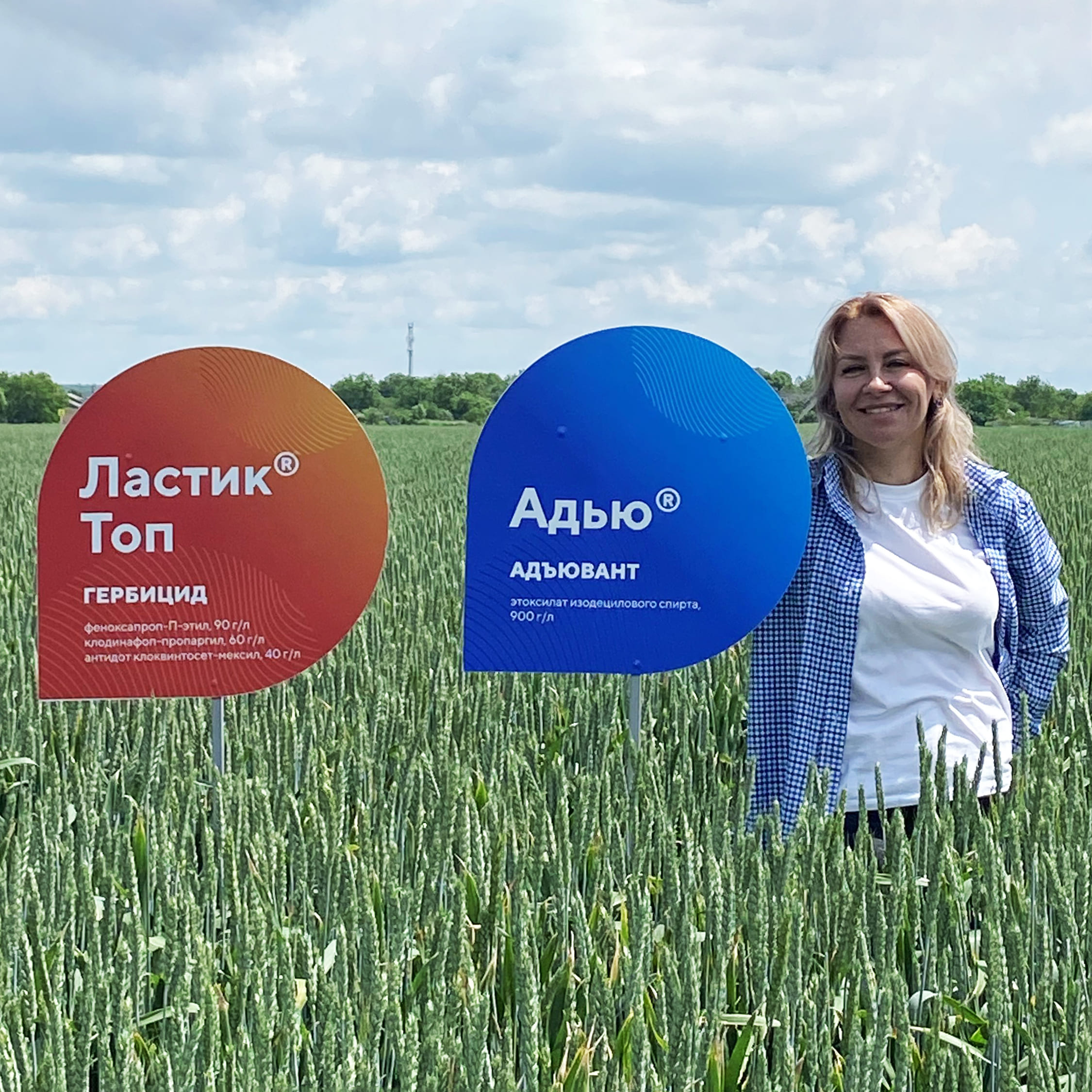 Агропроект «Августа» — «Заря»